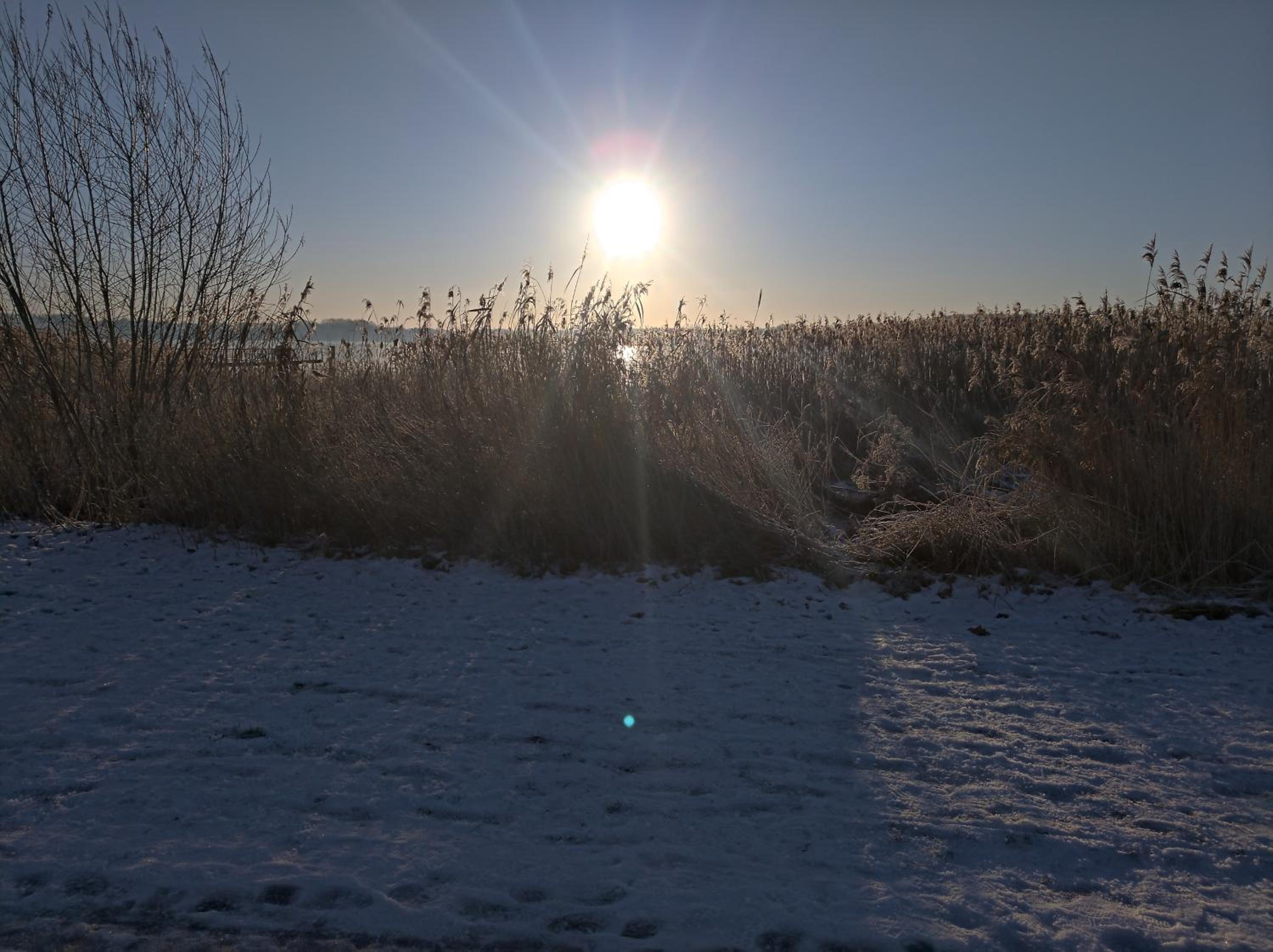 Photo 29