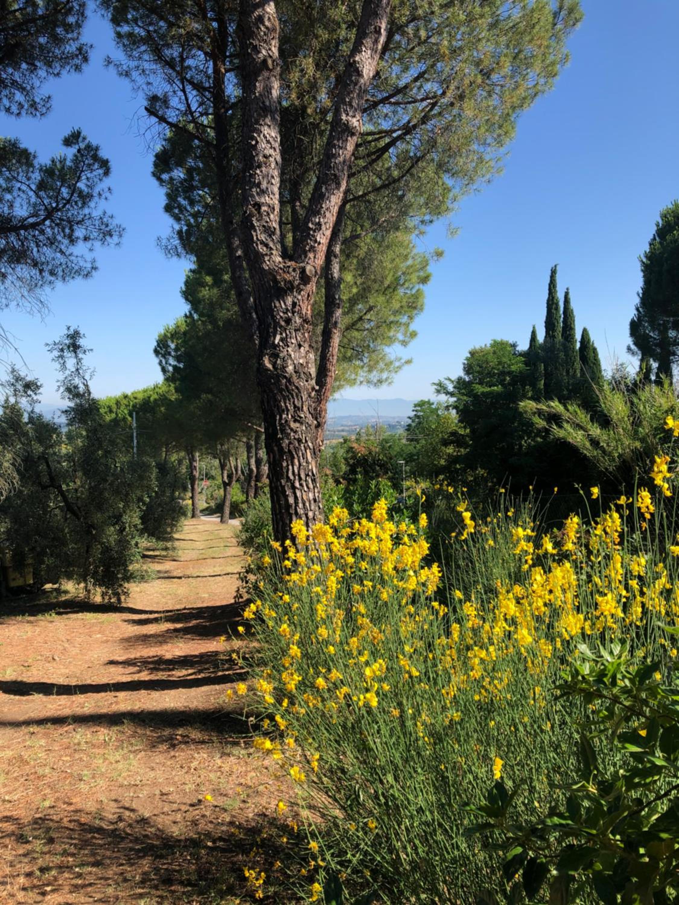 Podere Casato