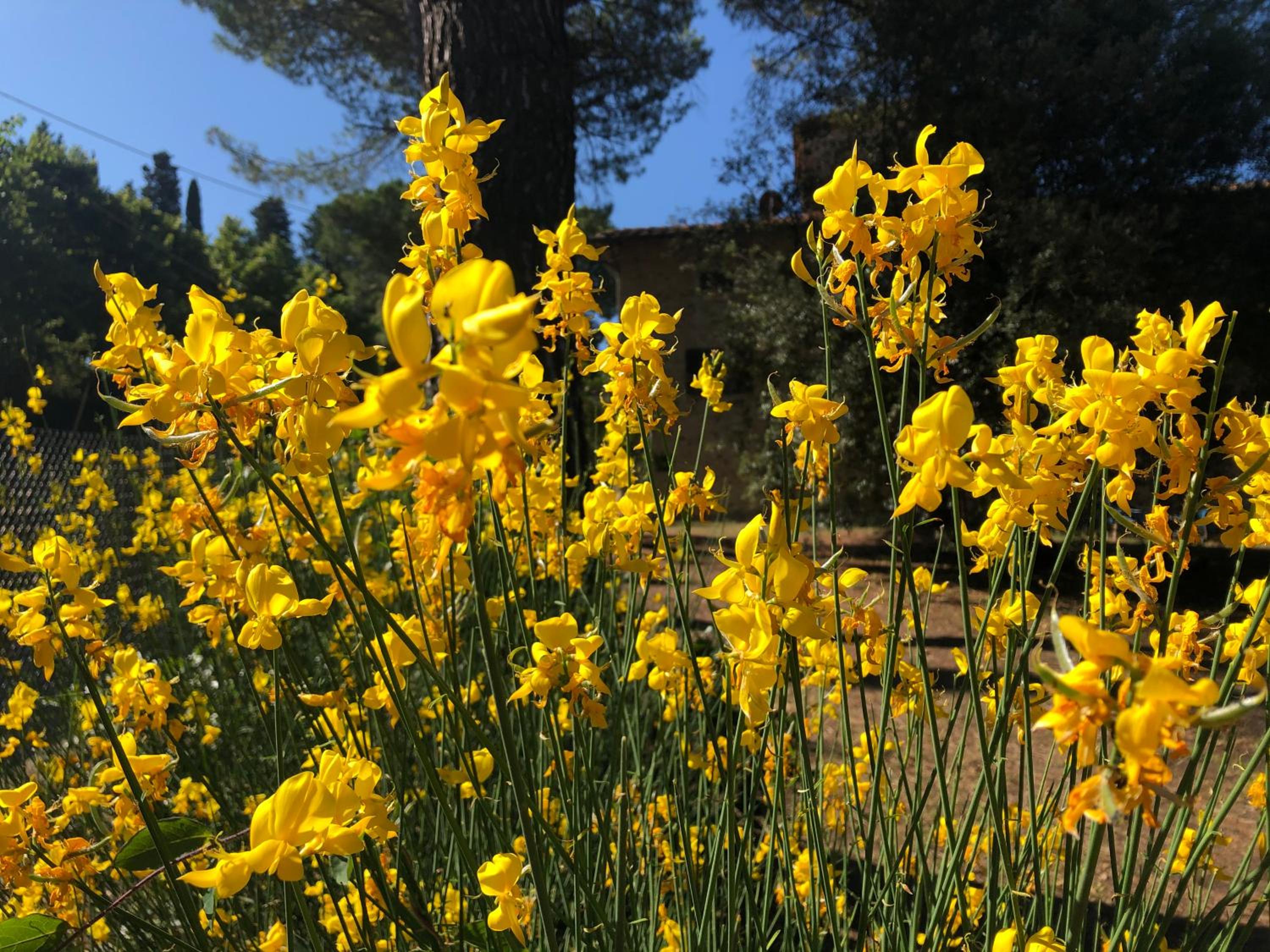 Podere Casato