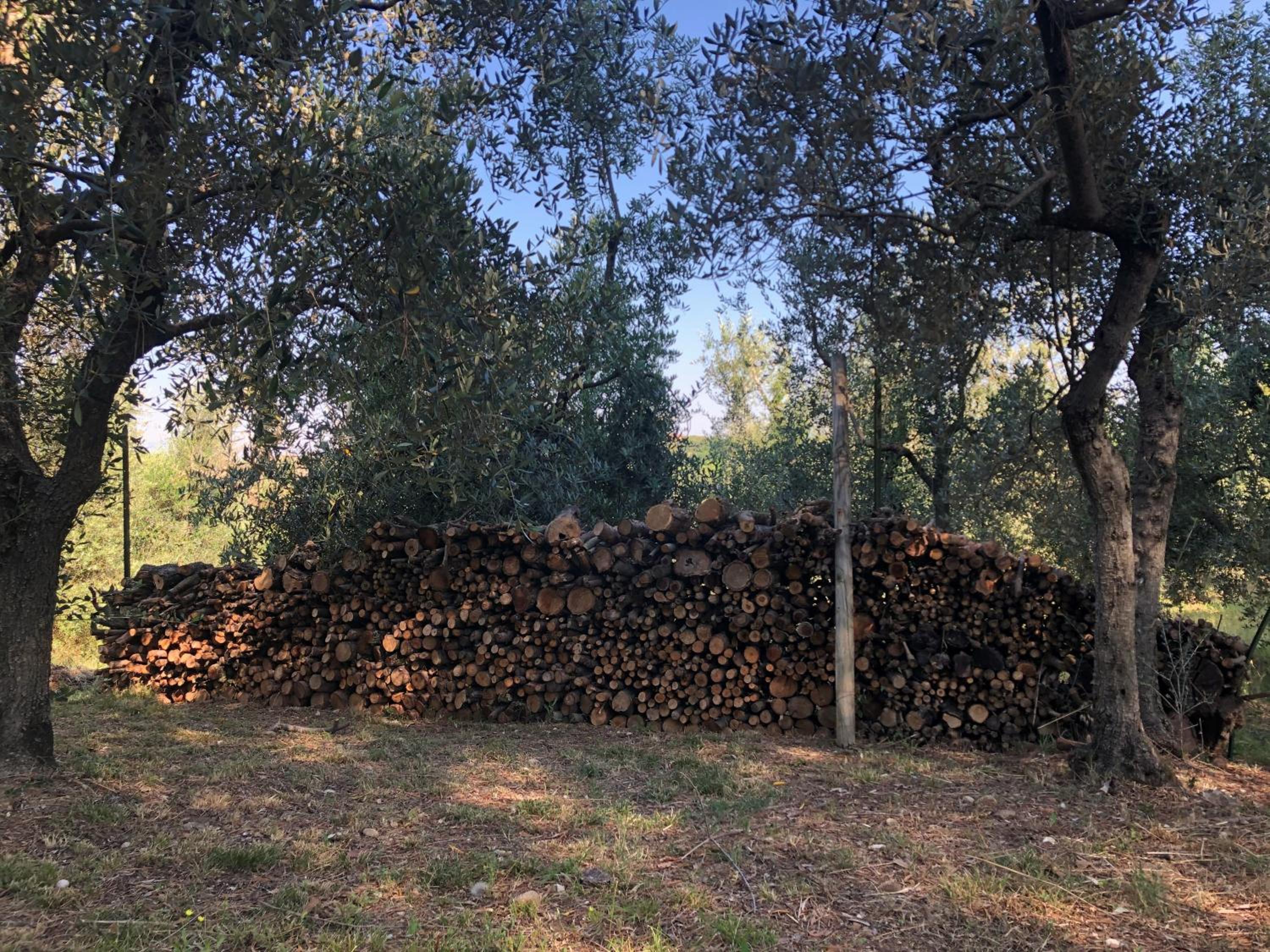 Podere Casato
