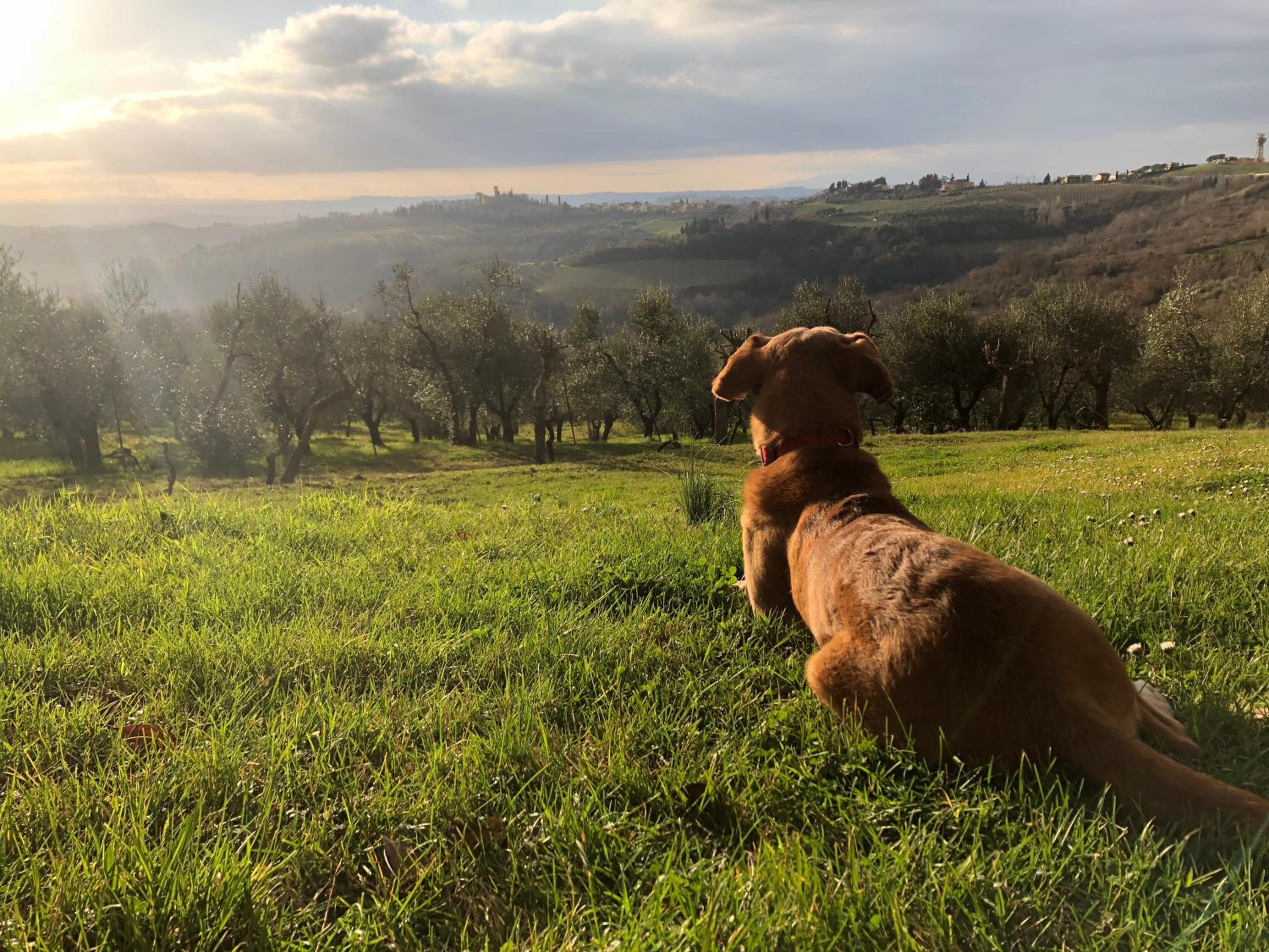 Podere Casato