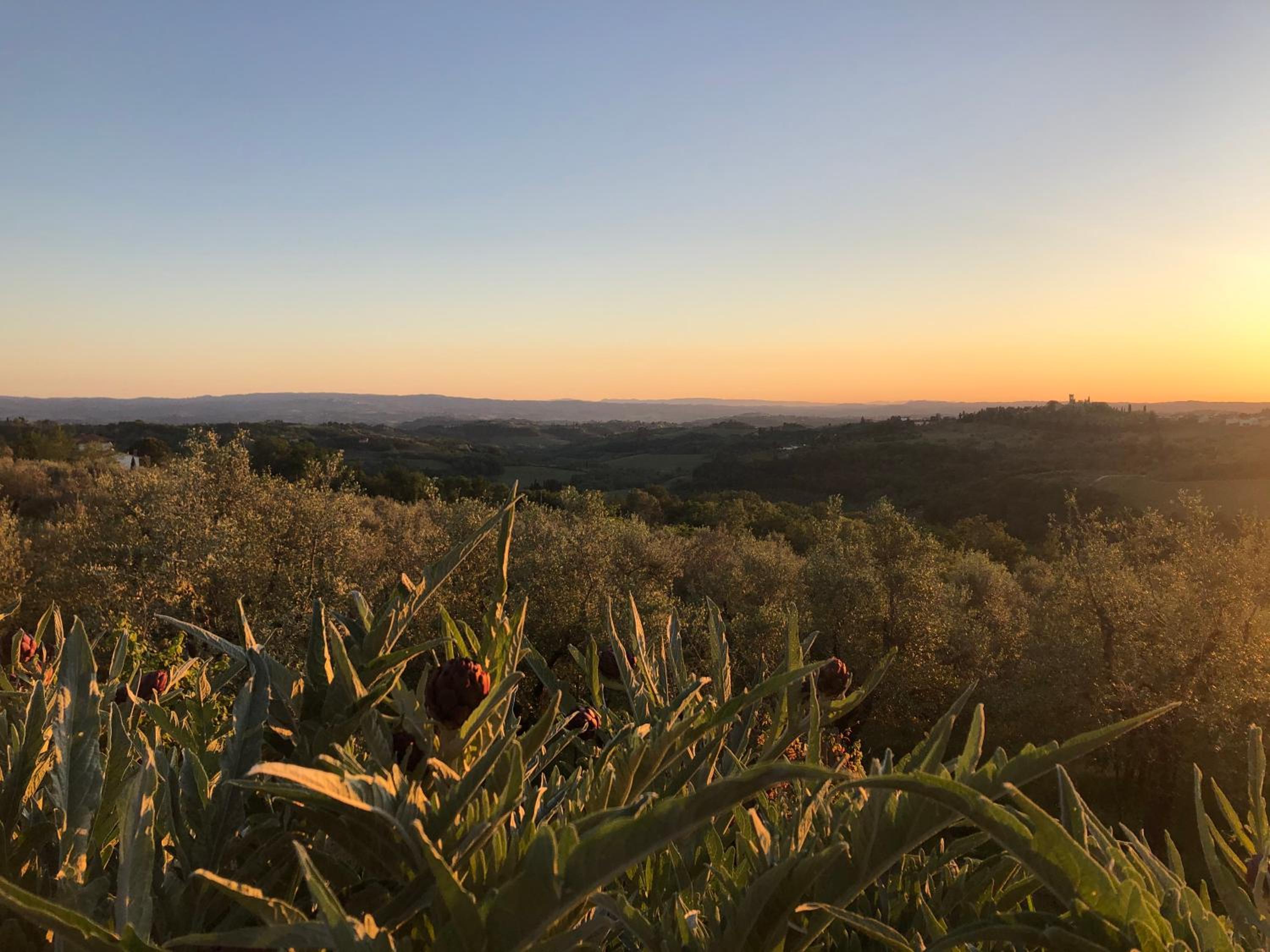 Podere Casato