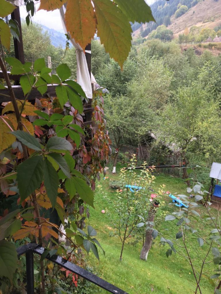 Photo 8