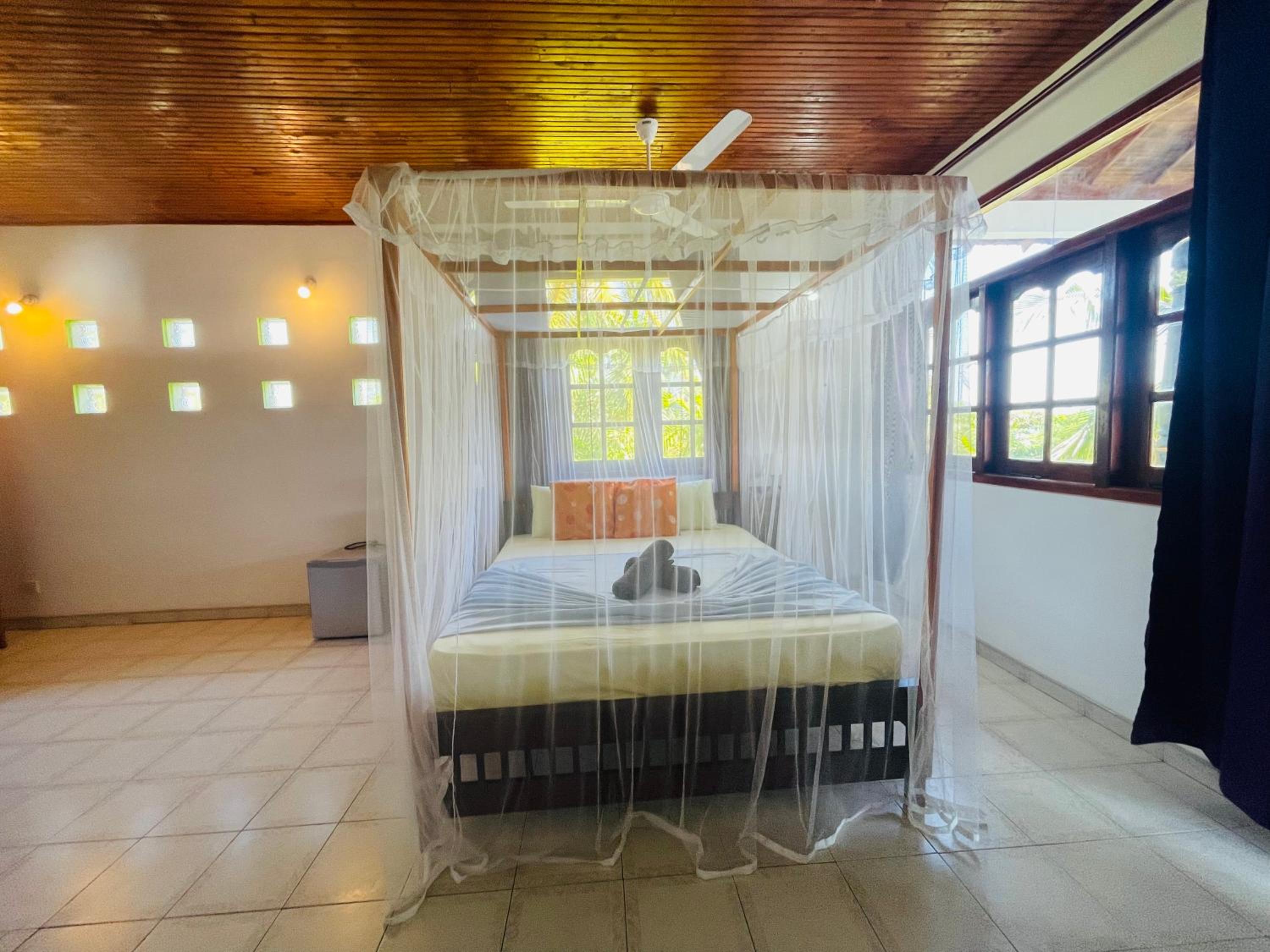 Bougain Villa Guesthouse view 5