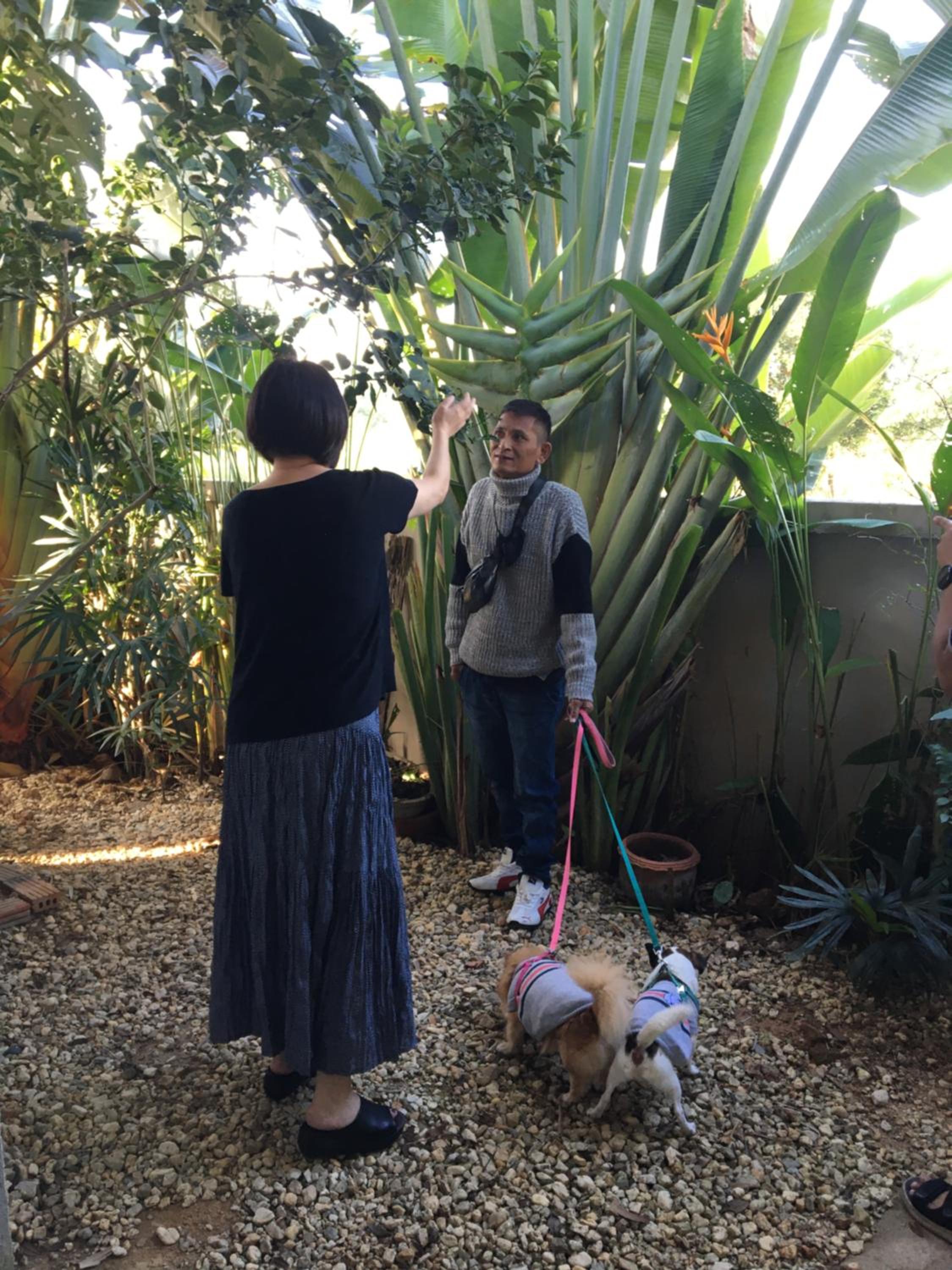 Photo 48