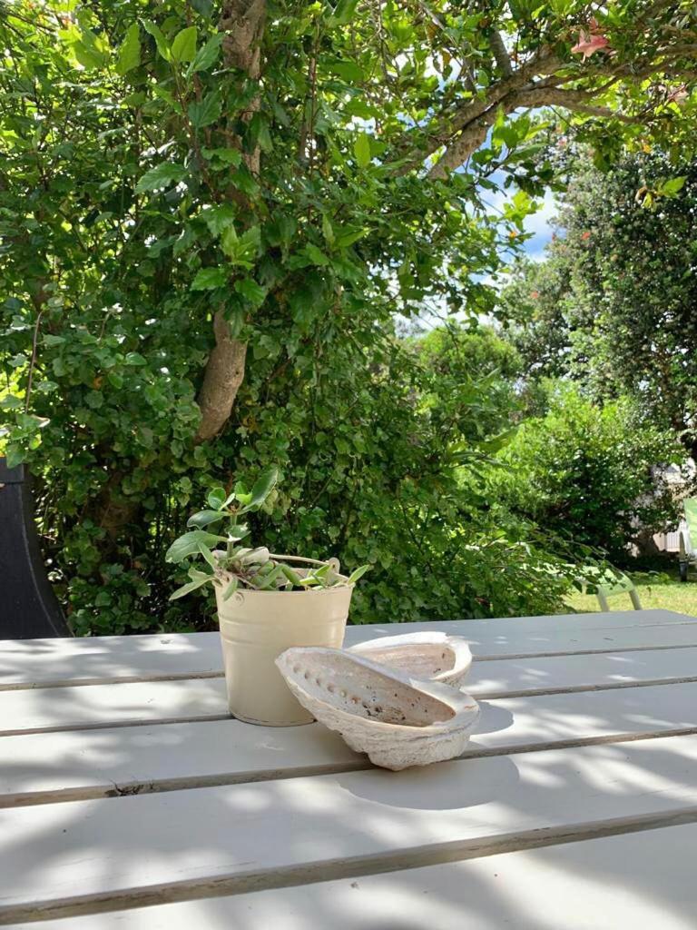 Anchor's Rest view 5