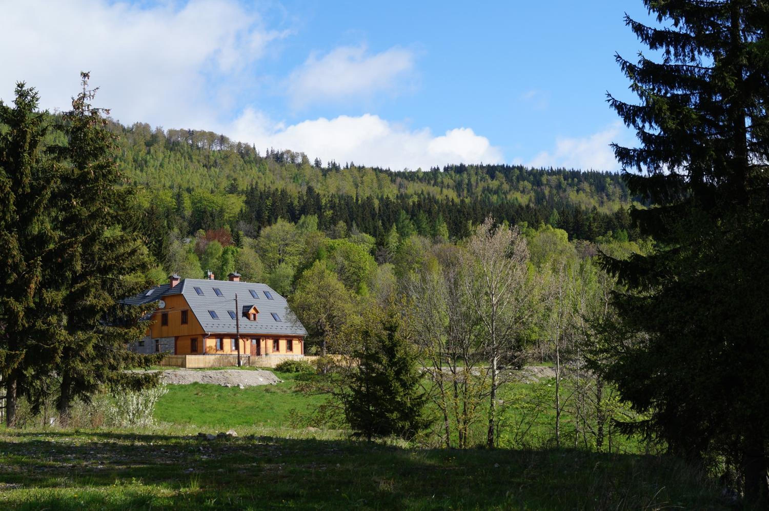 Photo 23