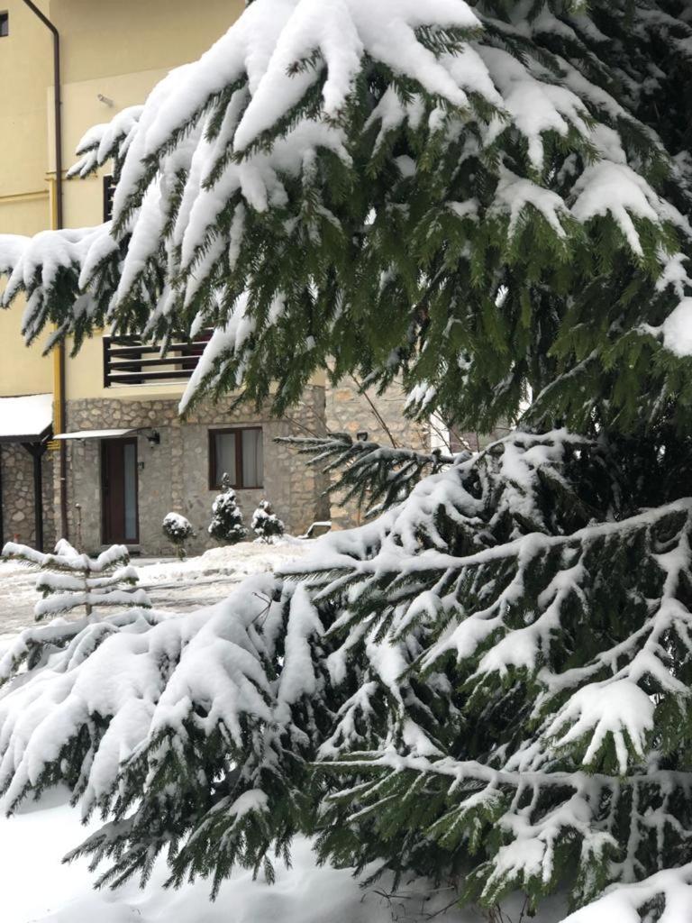 Apartament Nicolle