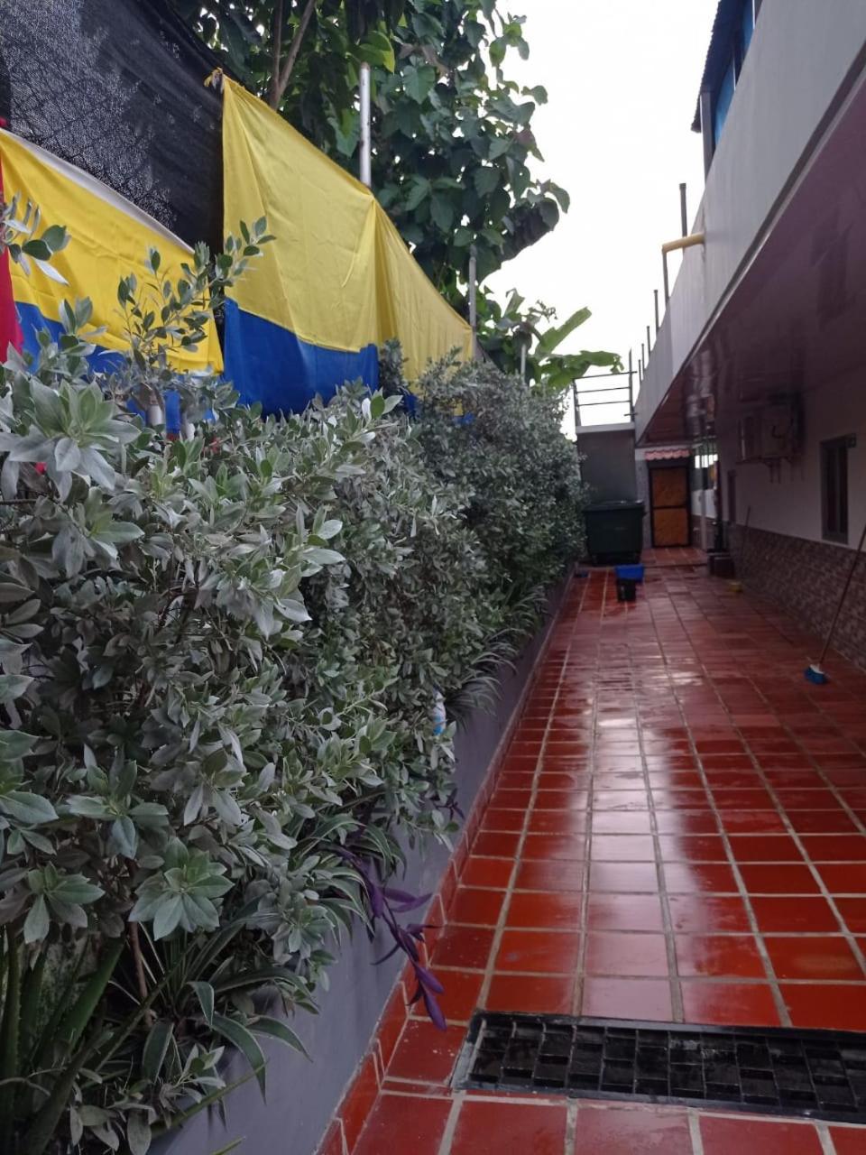 Apartamentos Vistas del Caribe Sede Campestre