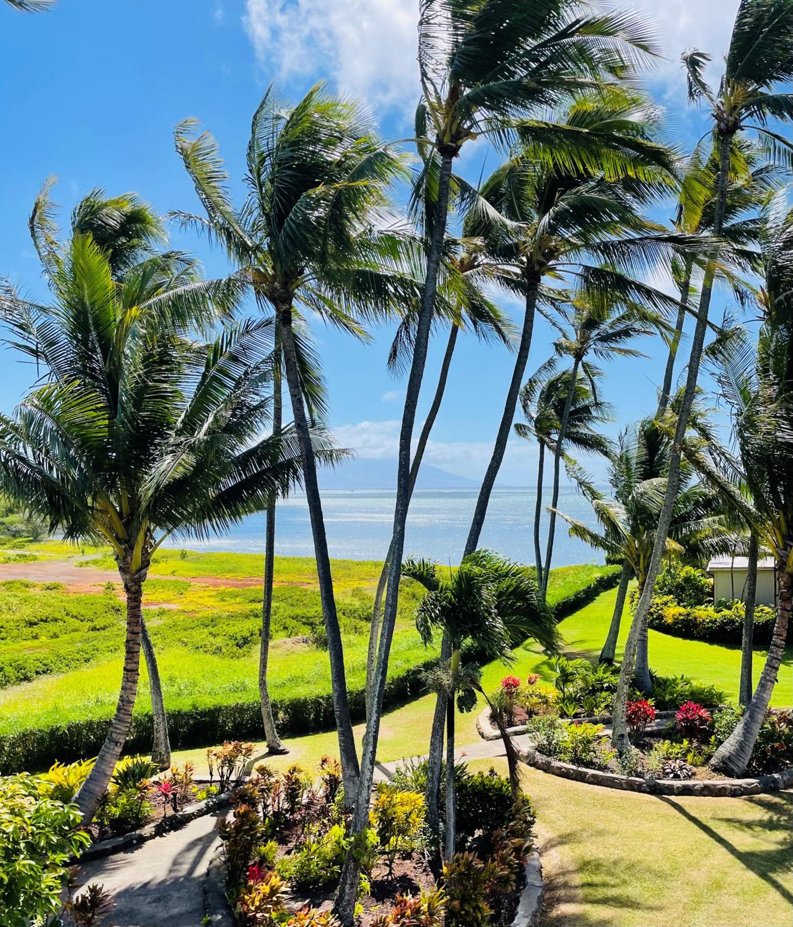 Molokai Vacations - Molokai Island Retreat with Beautiful Ocean Views and Pool - Newly Remodeled! - Property Image 5