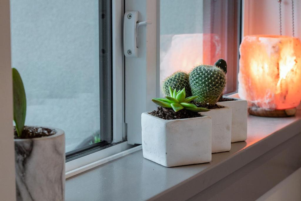 Vernon Vacations - Vita Resort on Lake Okanagan - Property Image 8