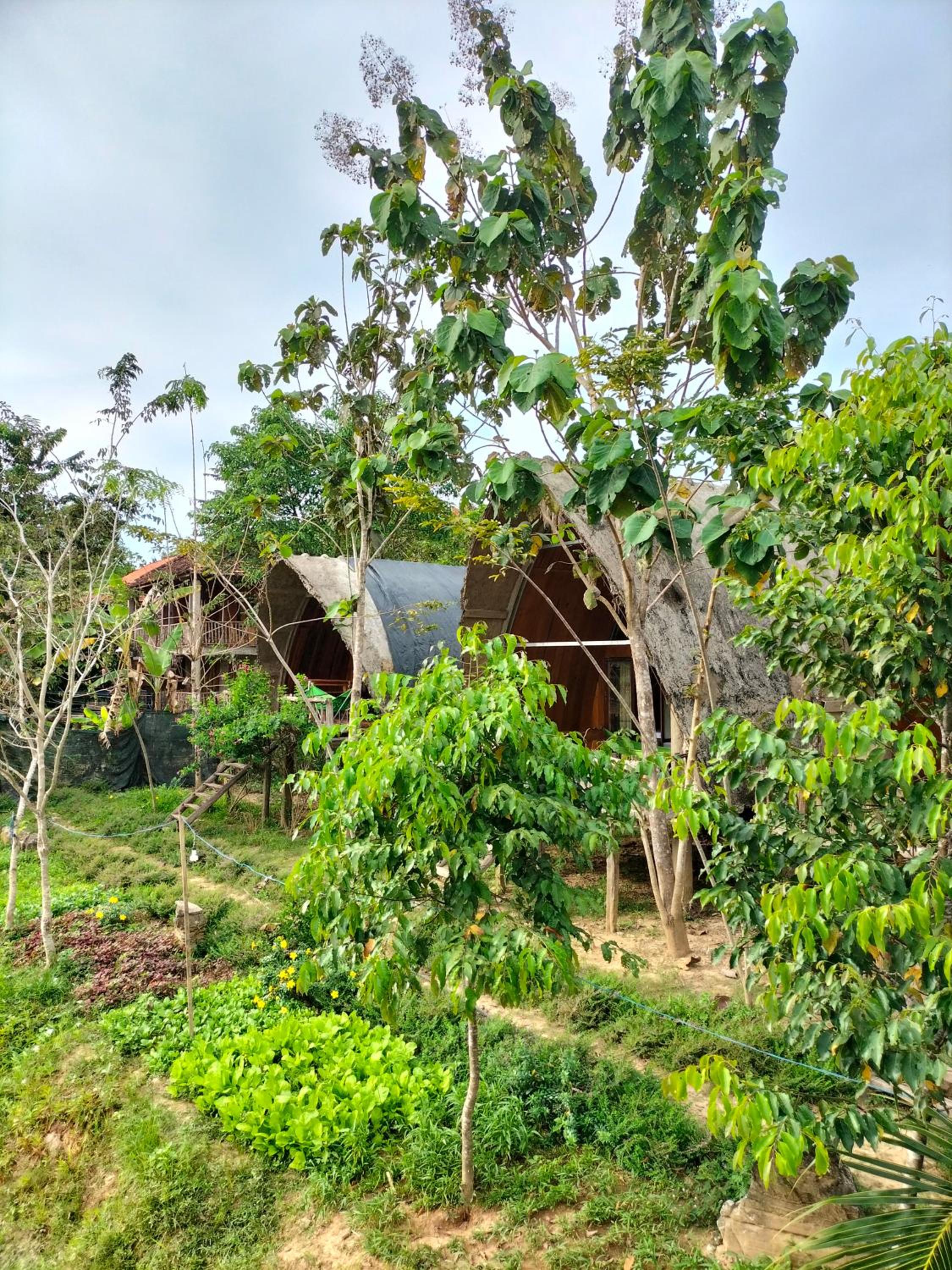 Rice straw Green lodge- resort view 4