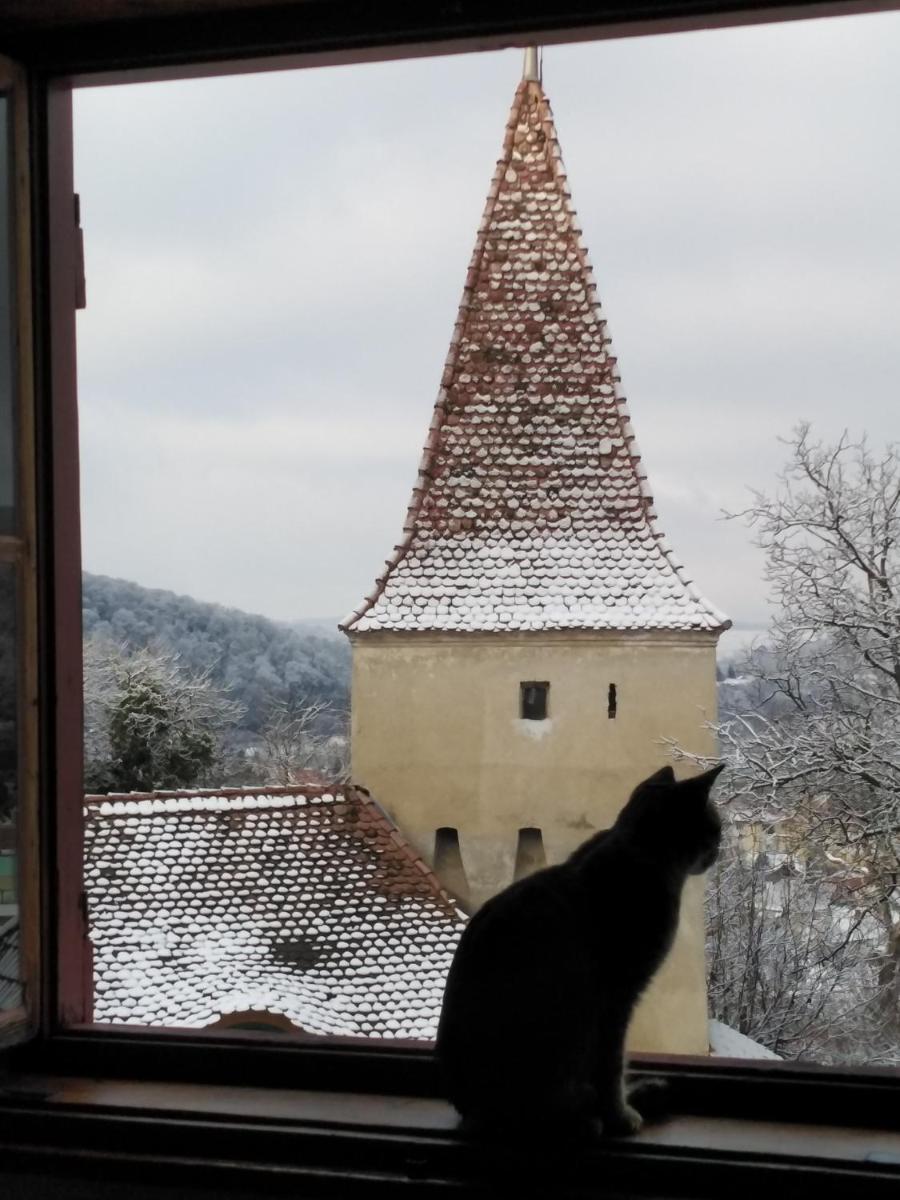 Casa Cojo view 3