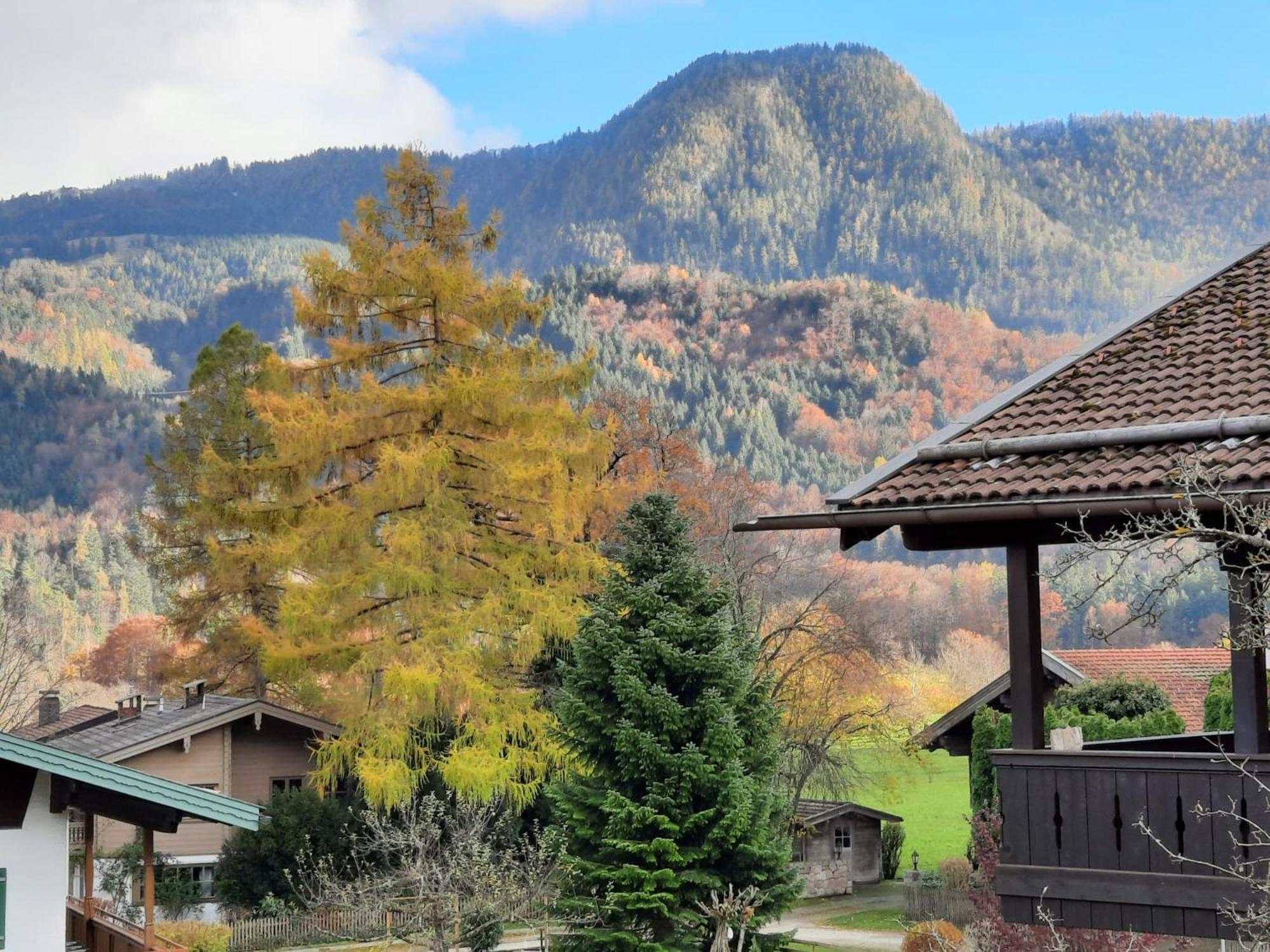 Ferienwohnung Alpenflair view 2