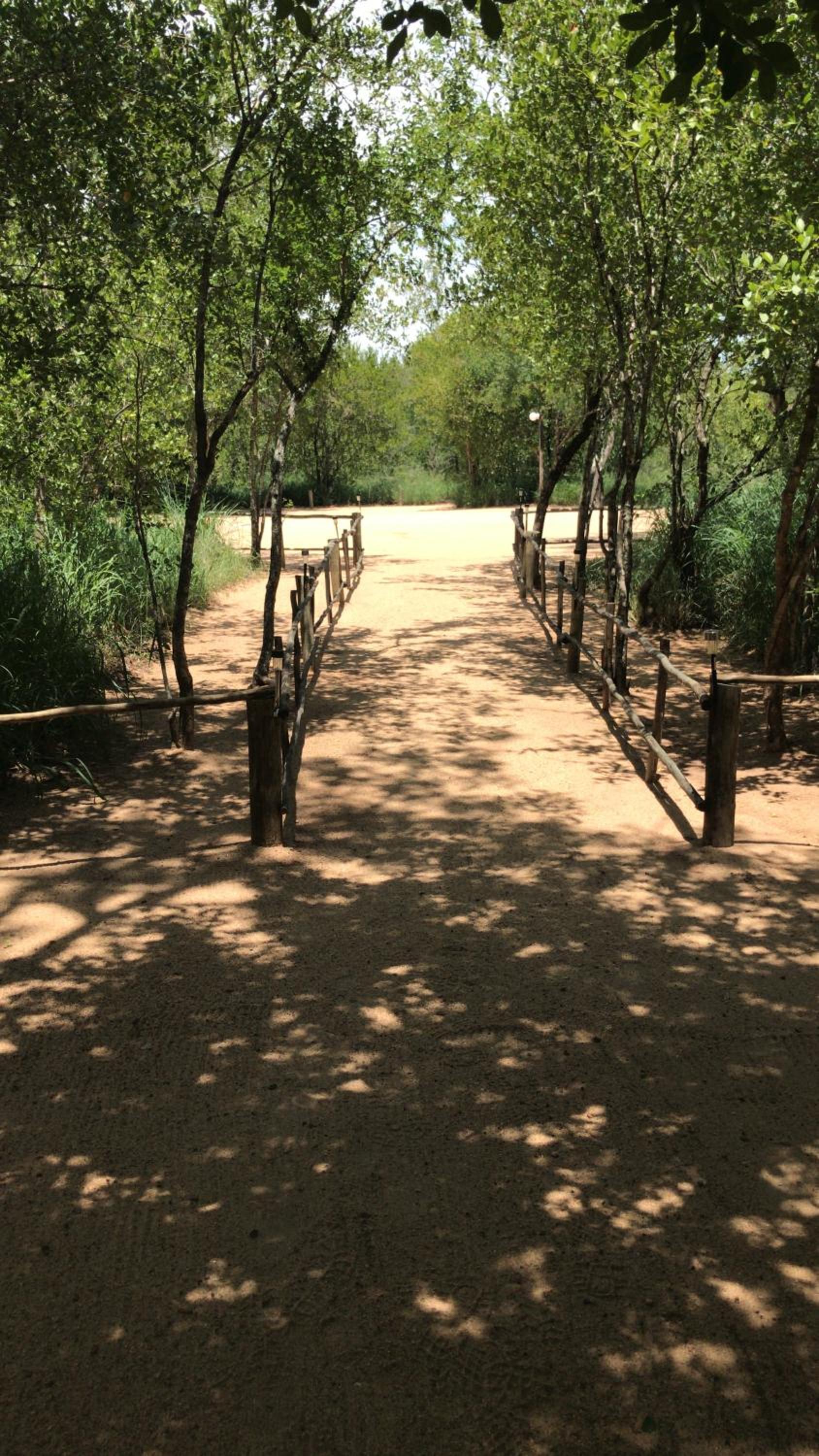 Masingitana Tented Camp view 4