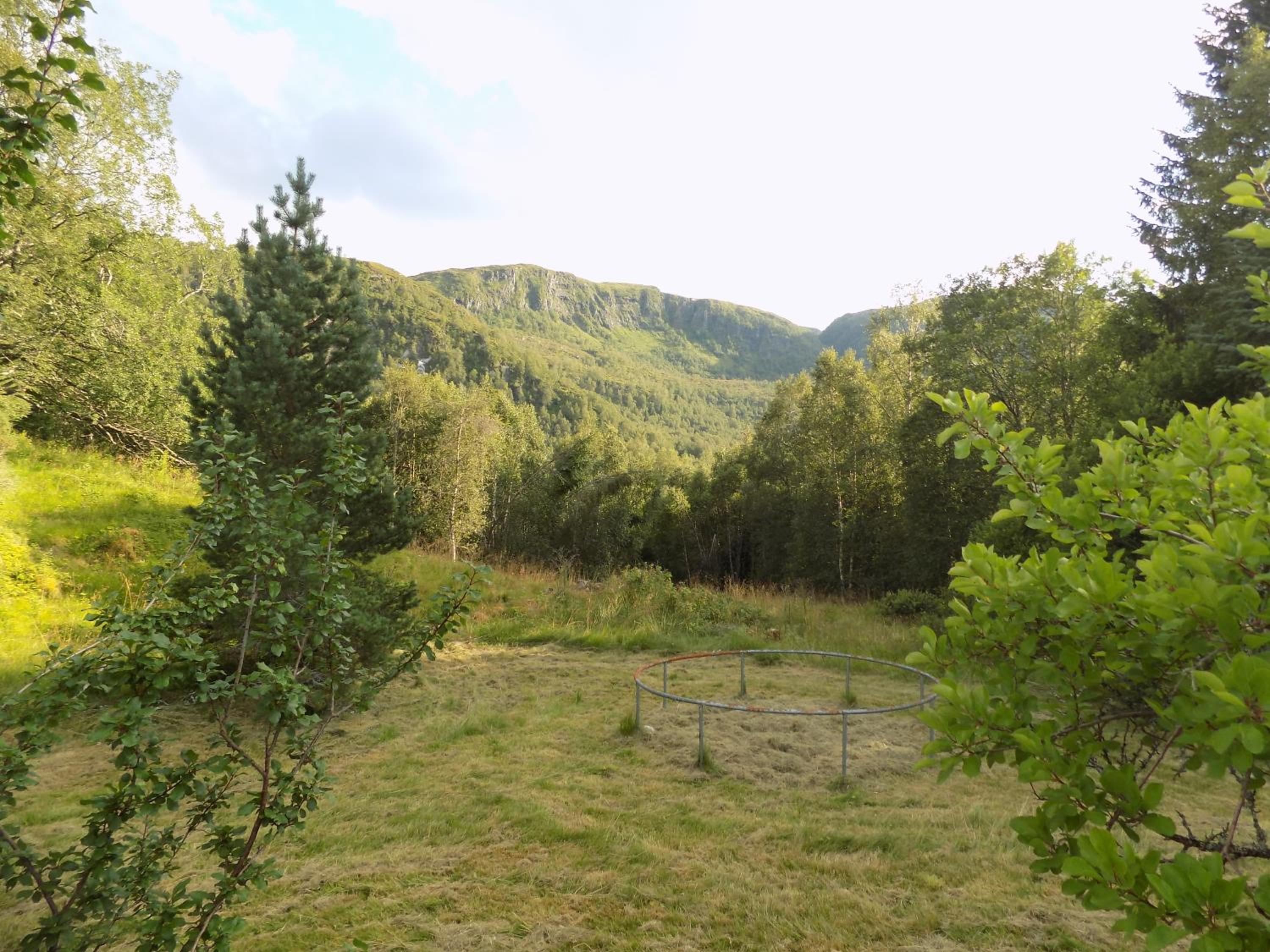 Photo 29