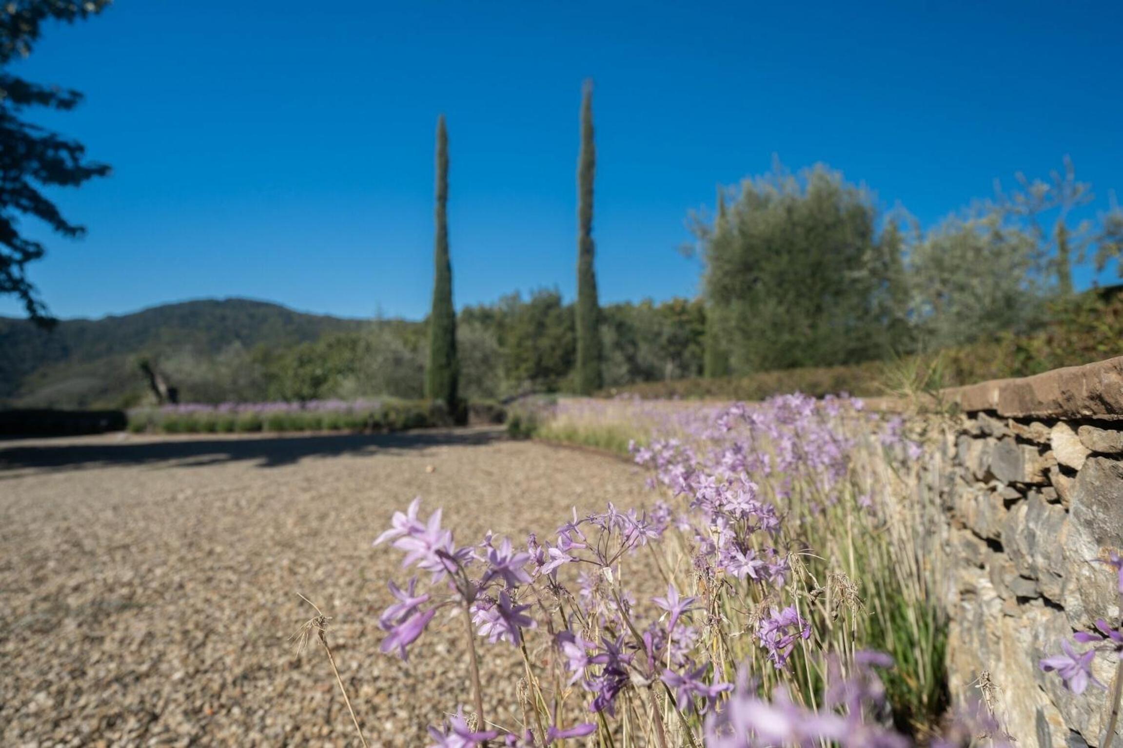 Villa Dorothea