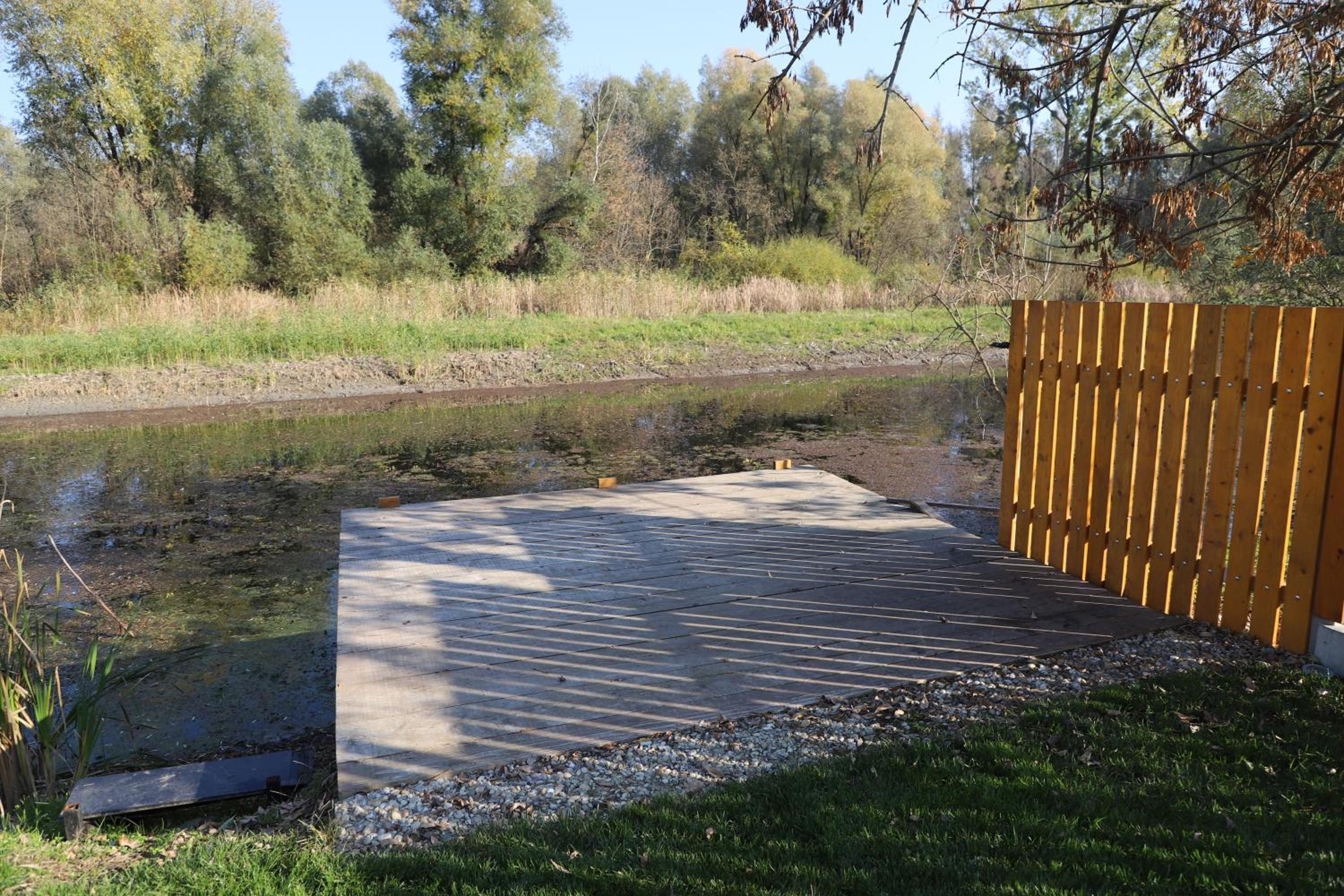 Photo 41
