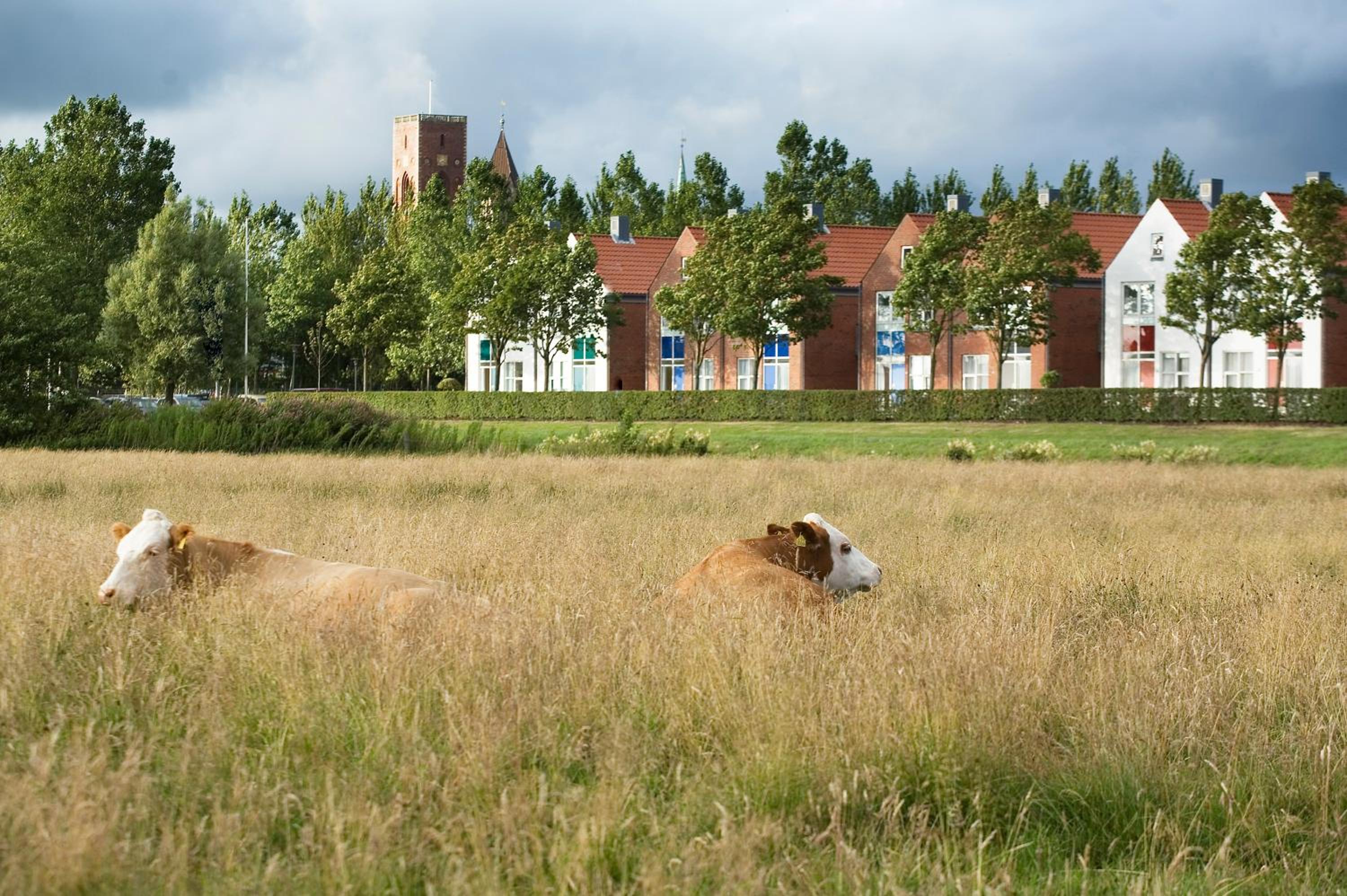 Photo 29