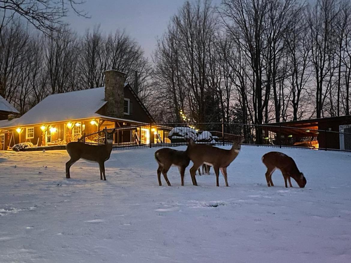 Lecomte De La Fontaine