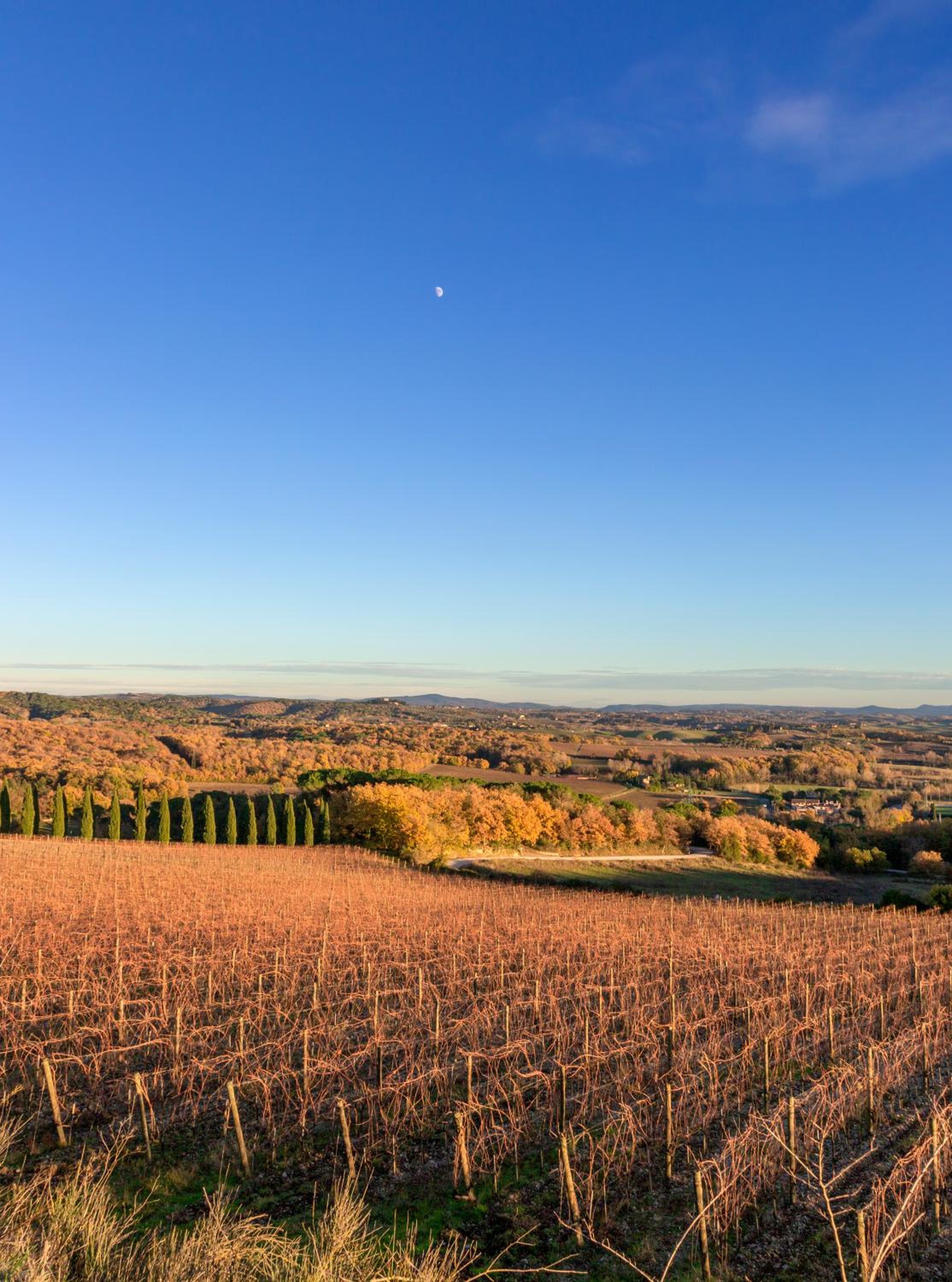 Borgo Argiano