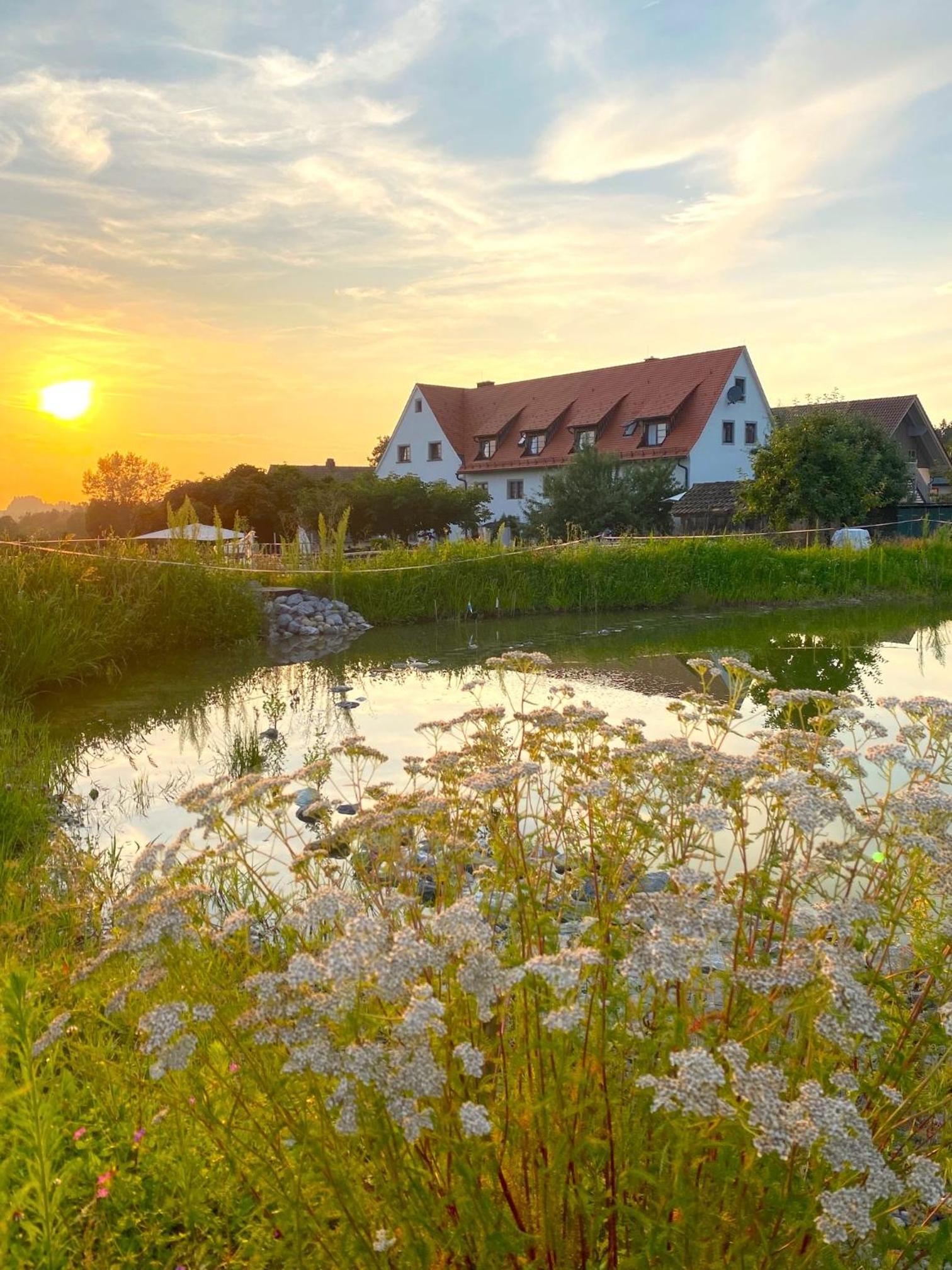 Hotel Montfort-Schlössle, photo 13