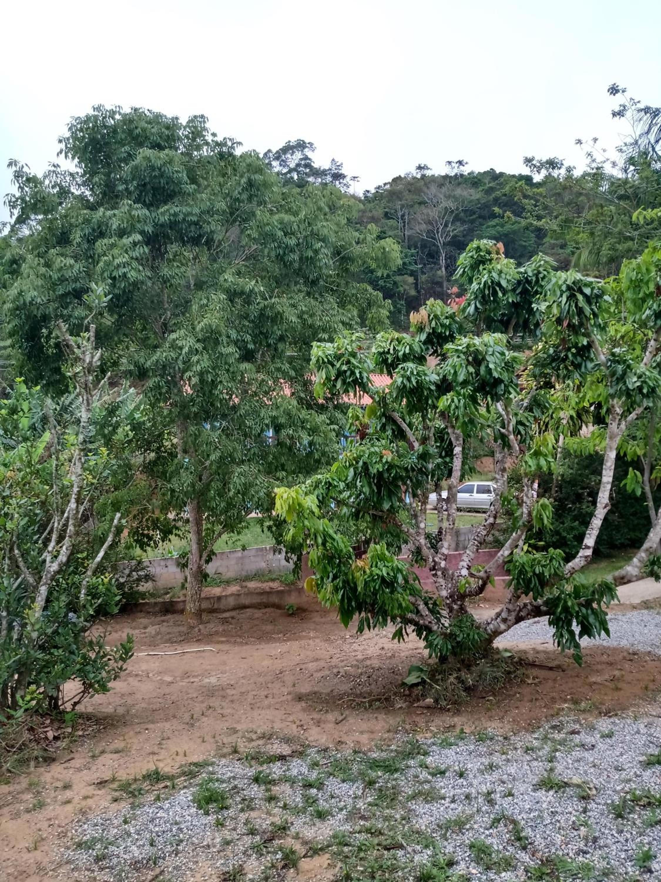 Kitnet na Serra de São Pedro
