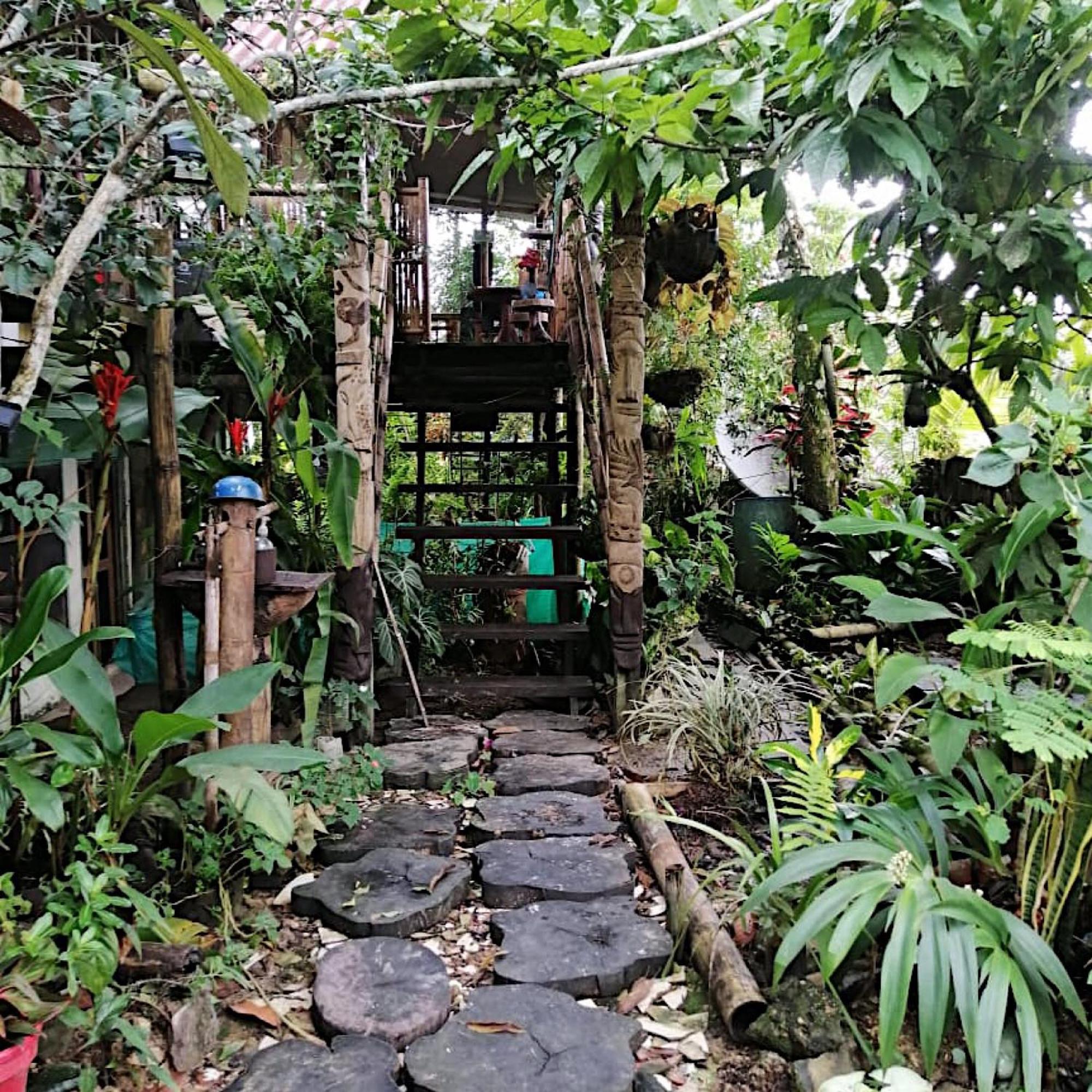 Maiku Amazonas