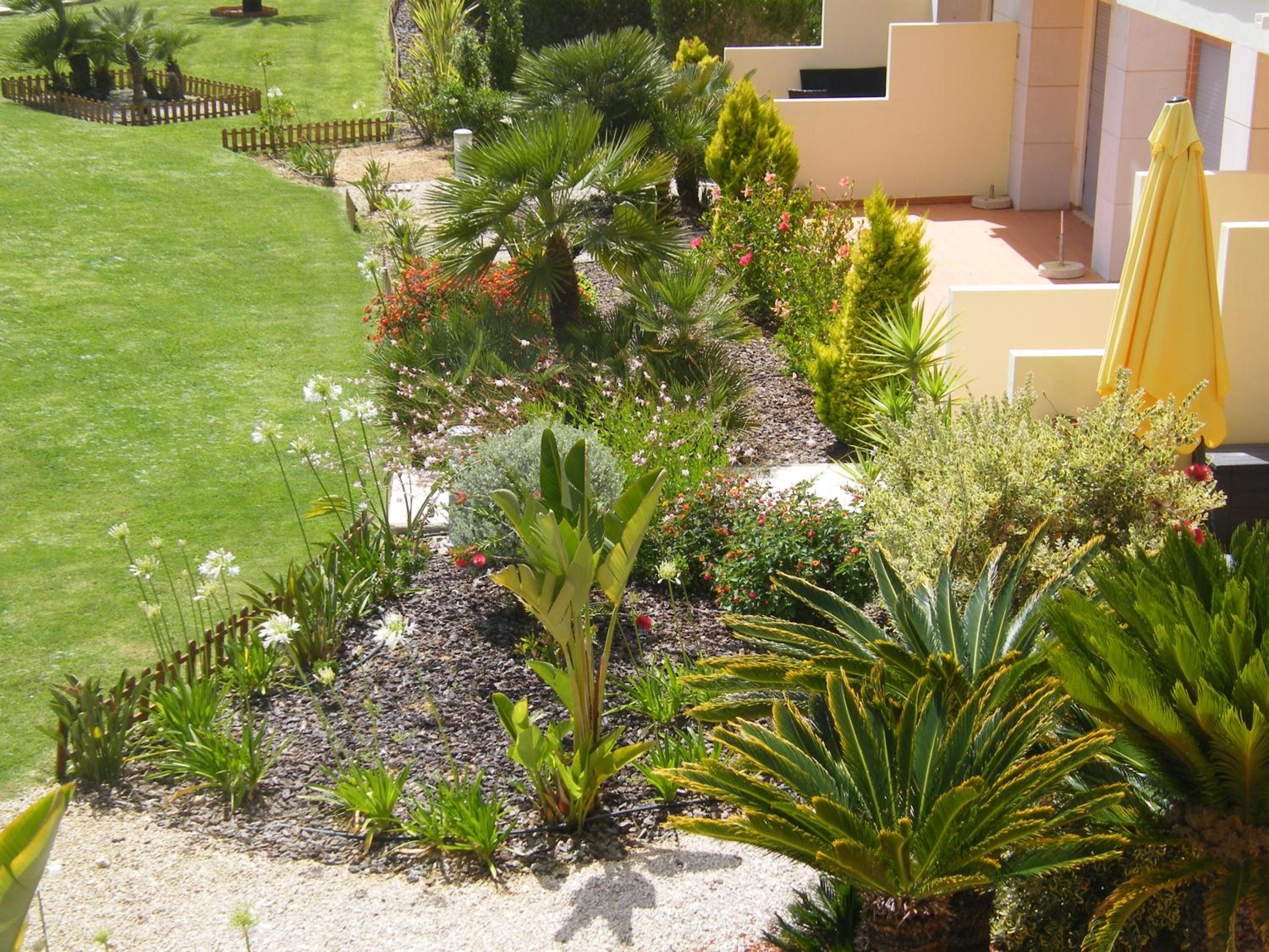 Photo 29