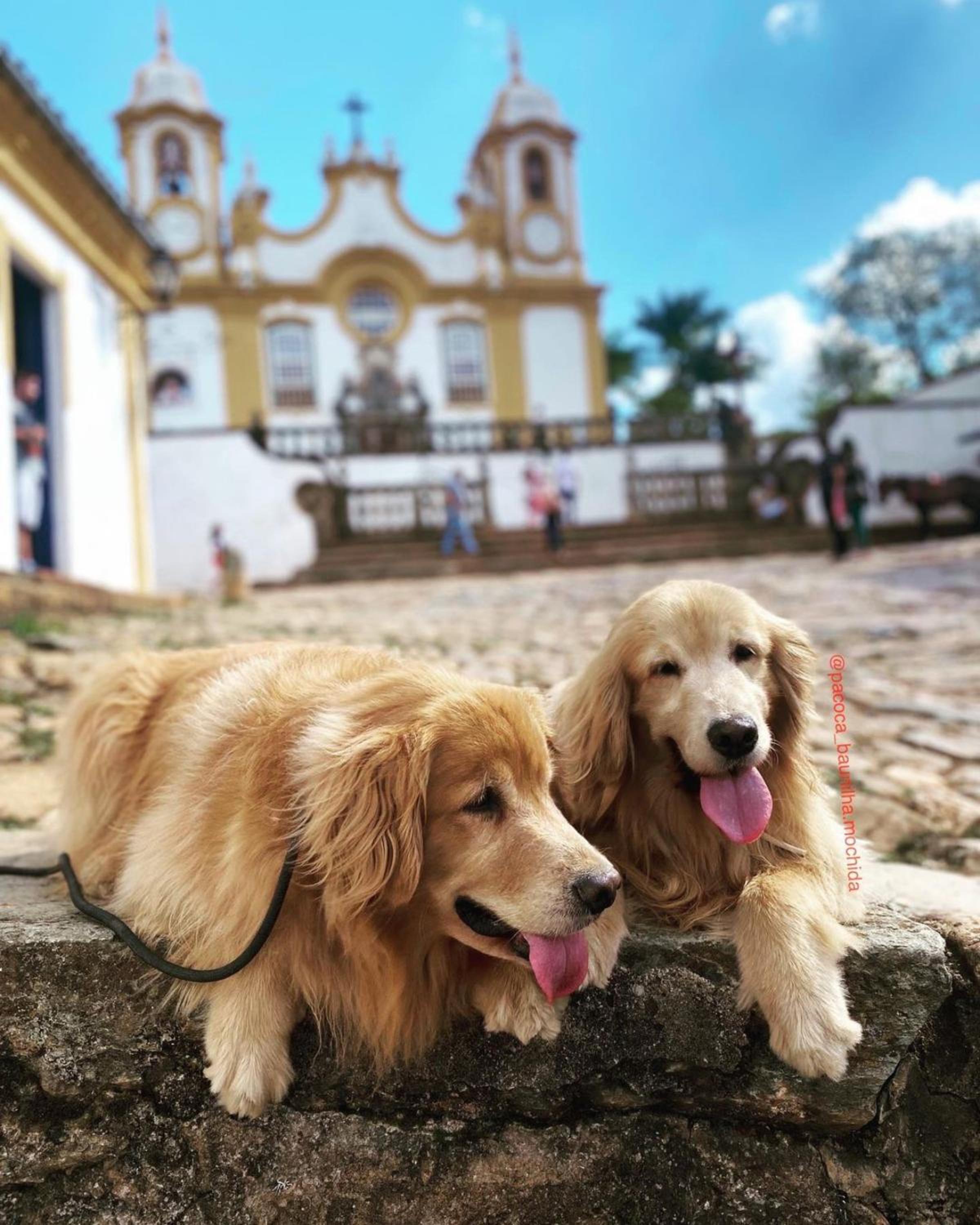 POUSADA CHARLOTTE
