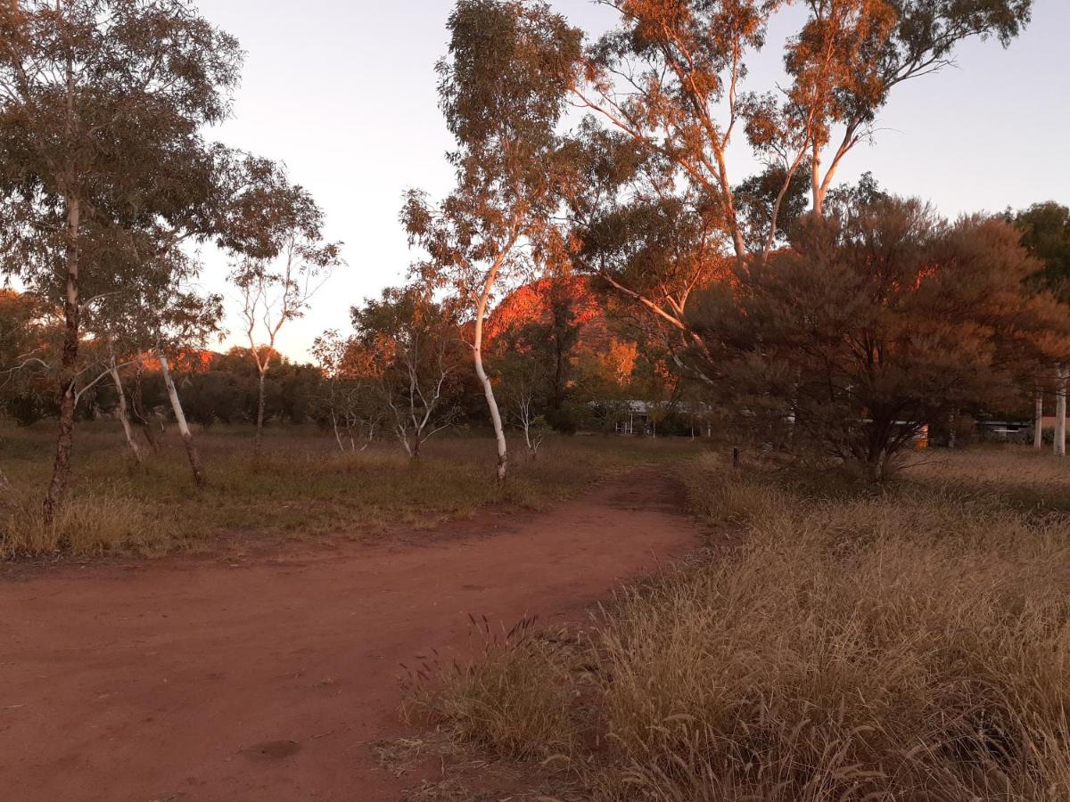 Alice Springs Vacations - Squeakywindmill Boutique Tent BB - Property Image 4