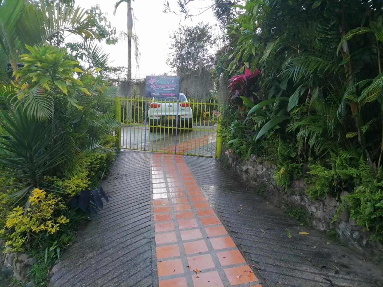 Mi Jardin Encantado