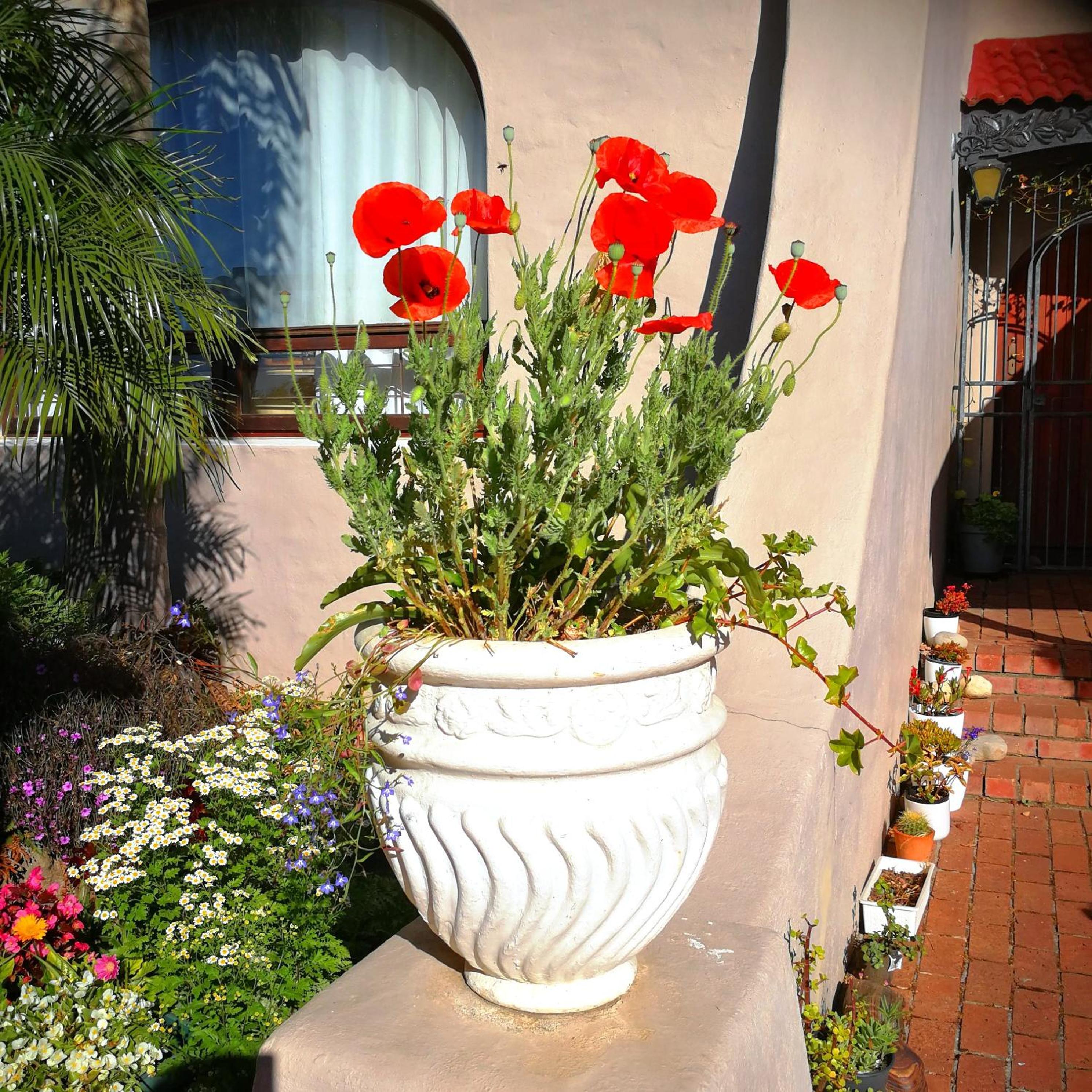 Photo 27