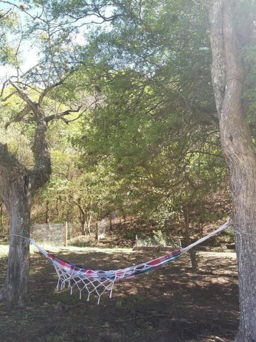 Naturaleza y tranquilidad