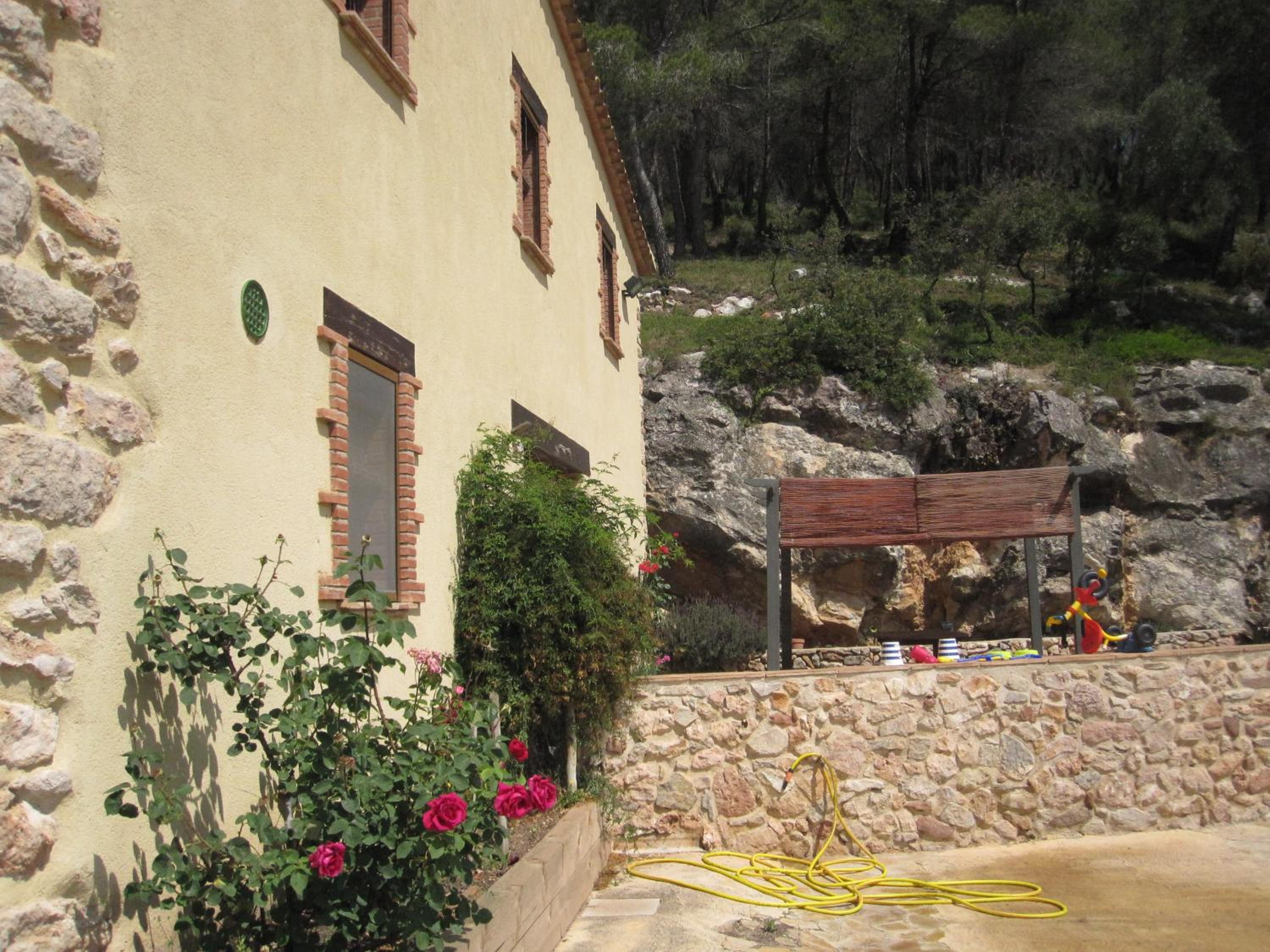 Photo 46