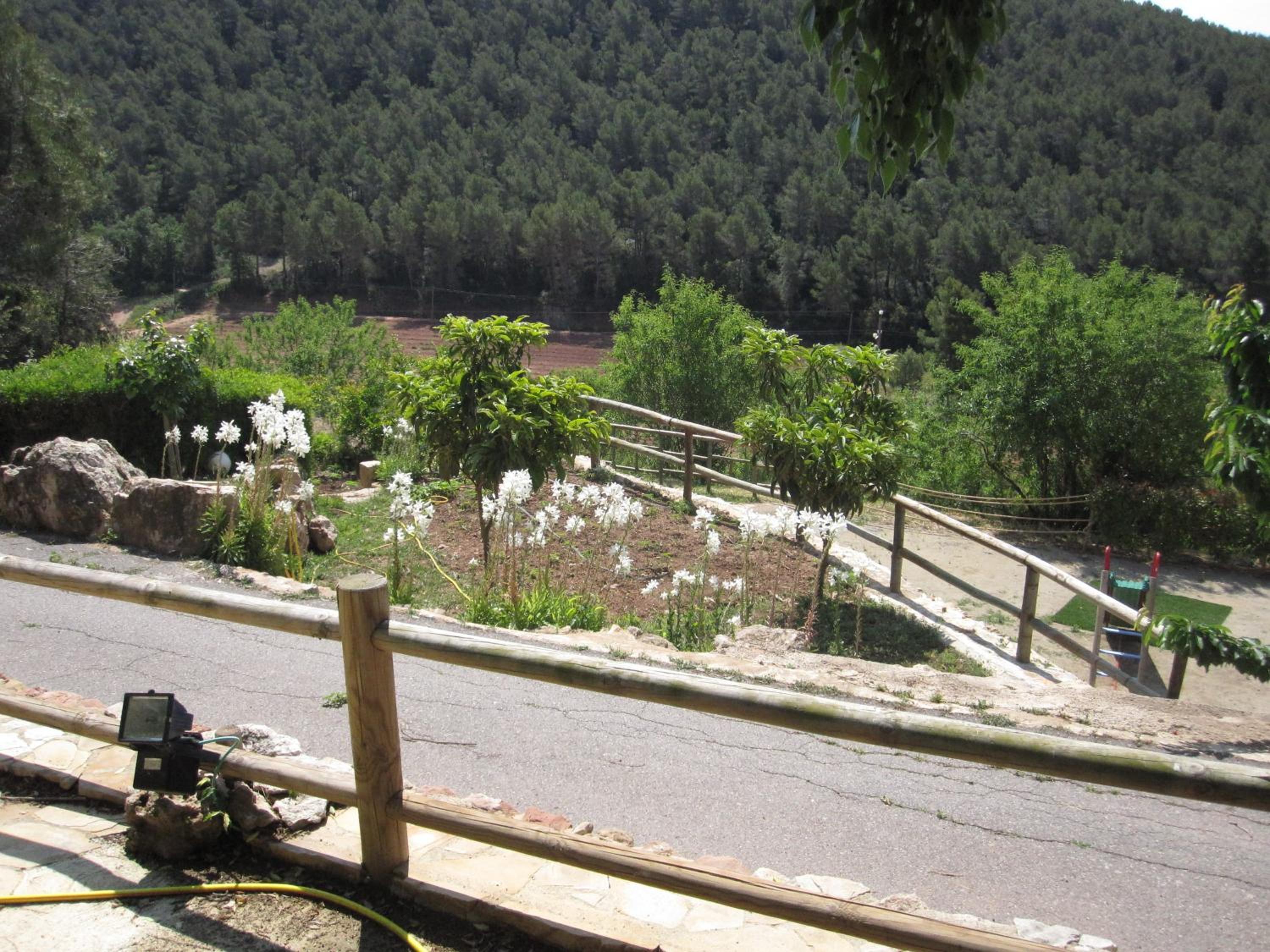 Photo 14