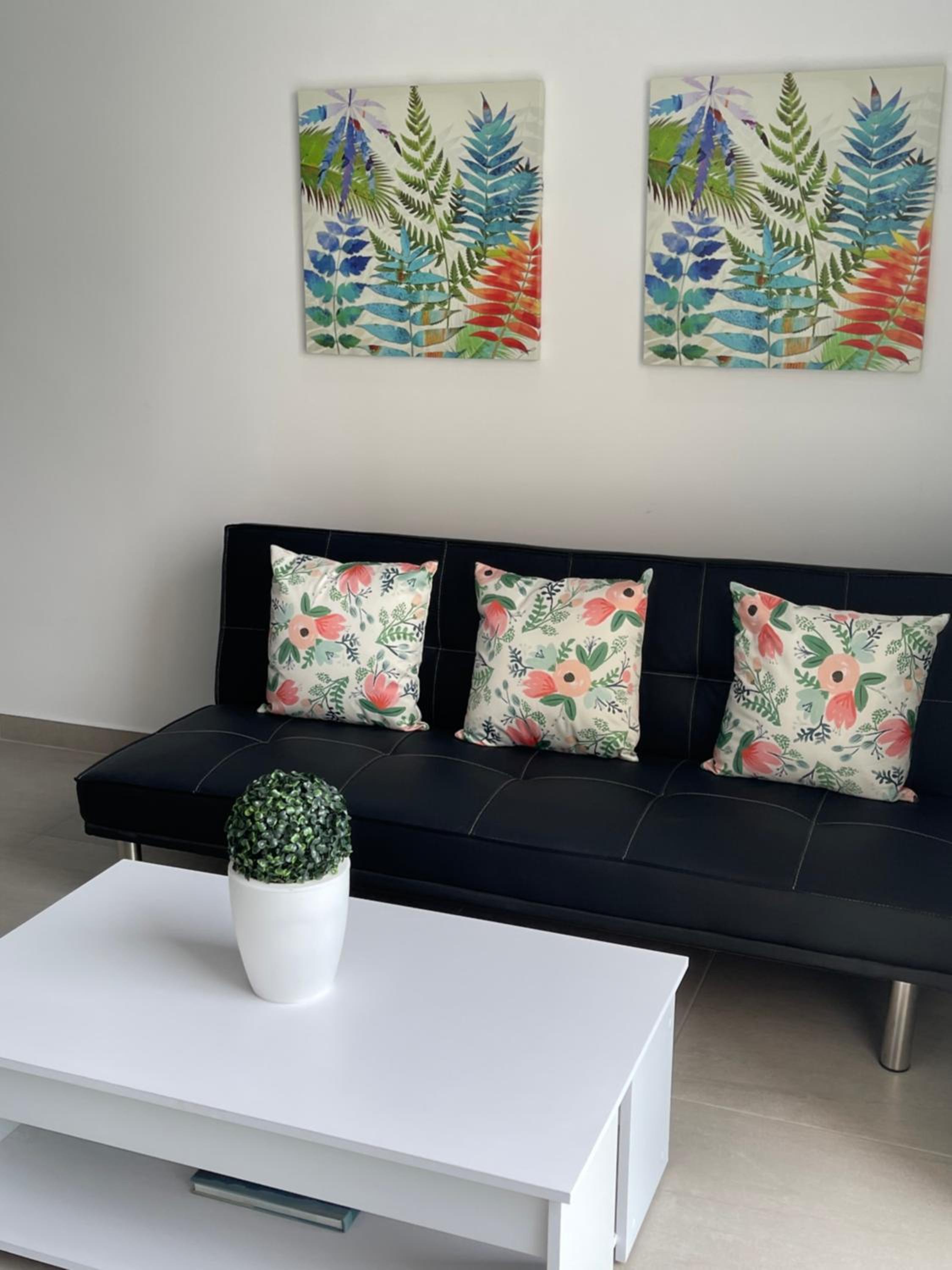 (201) Moderno Loft en Granada view 5