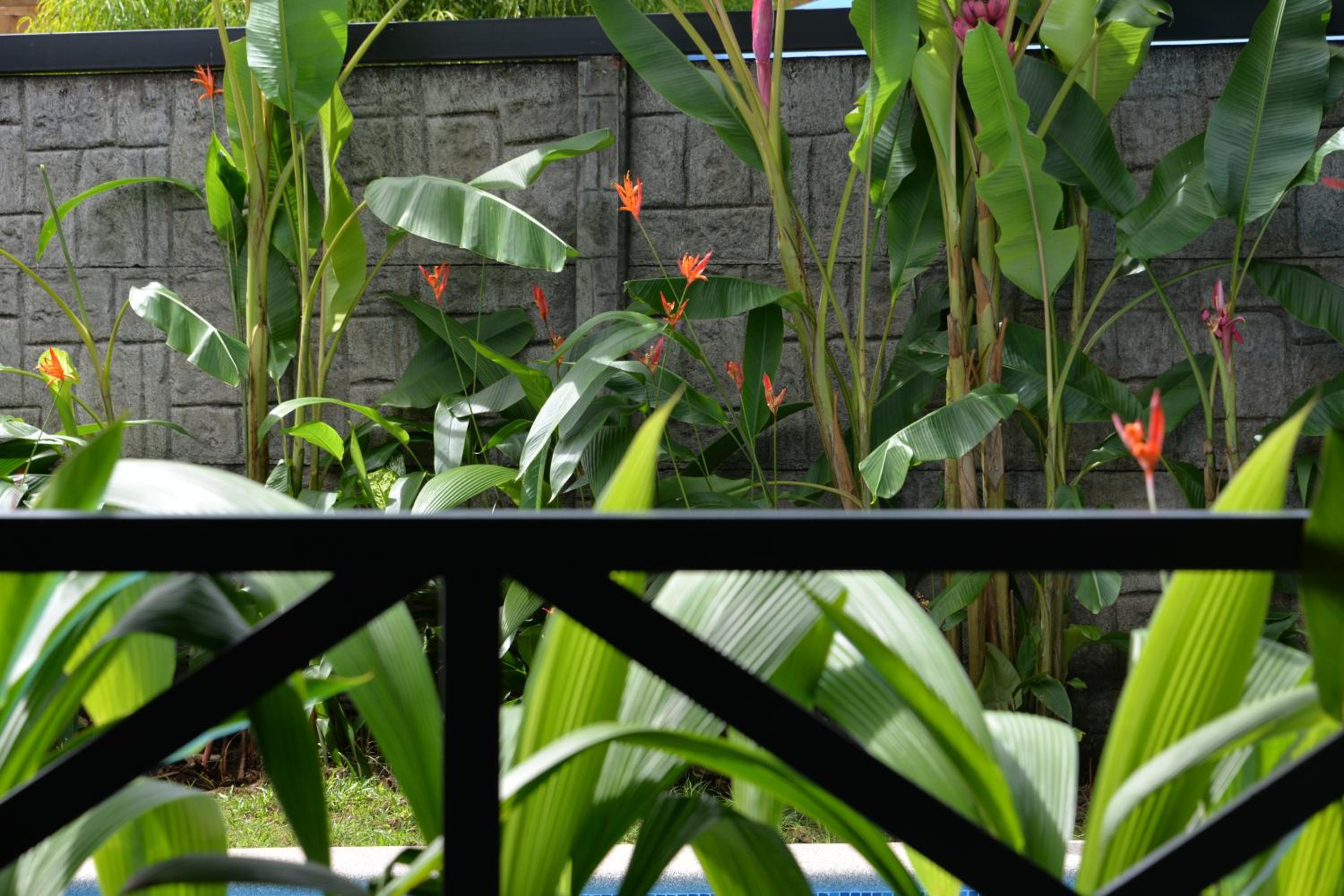Casa Kamagu