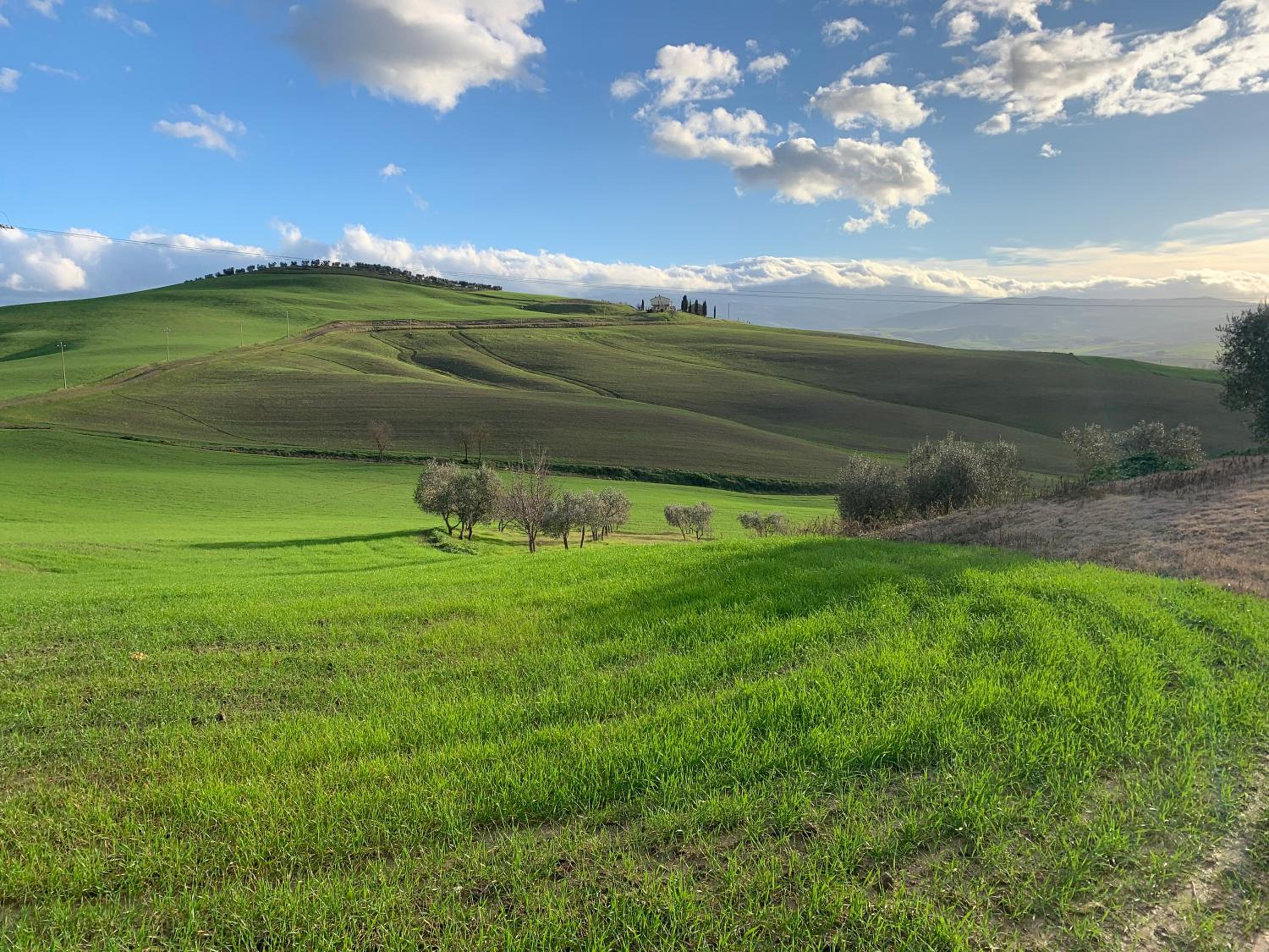 Agriturismo Poggio Tobruk view 3