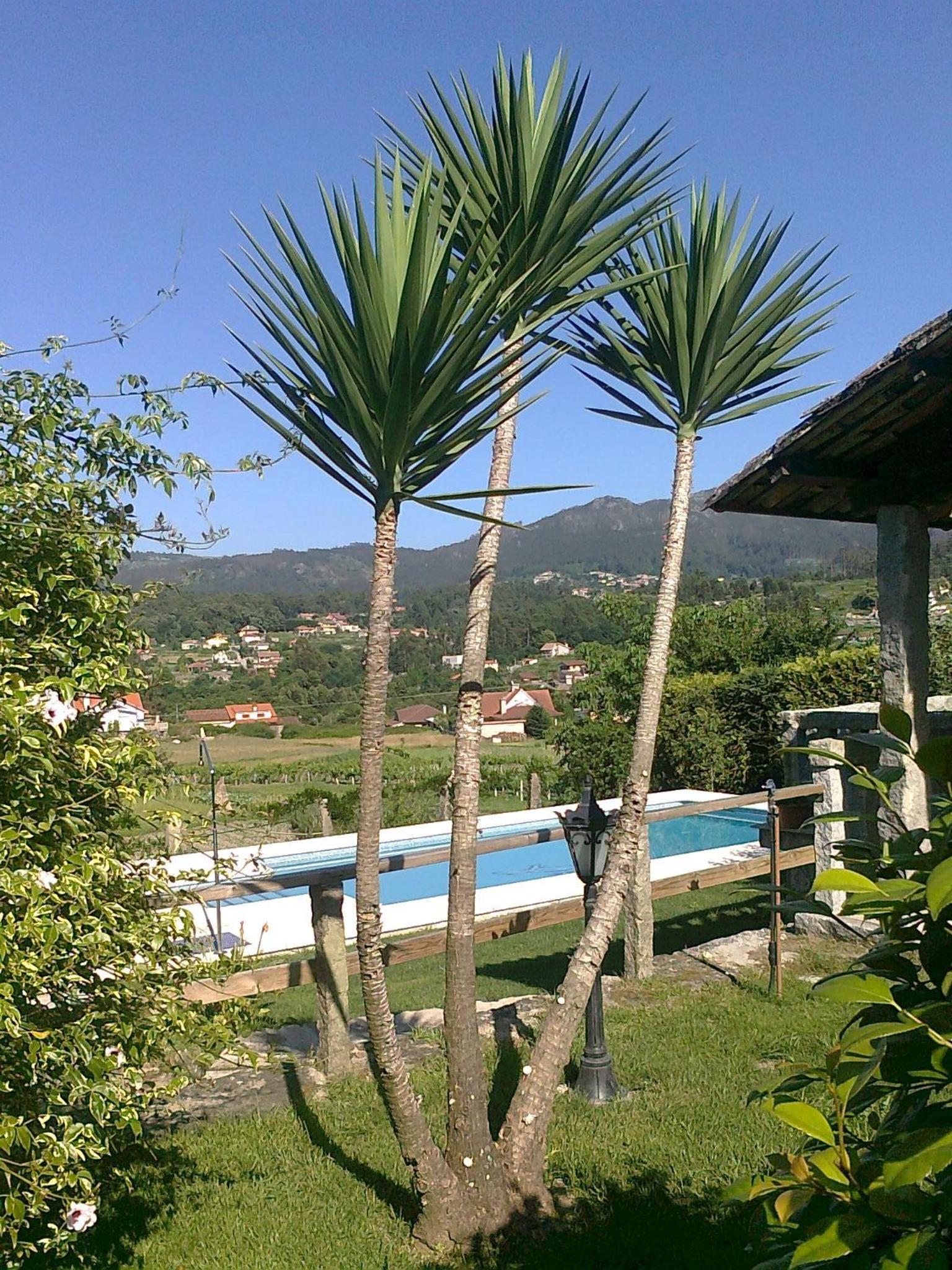 Casa Roque