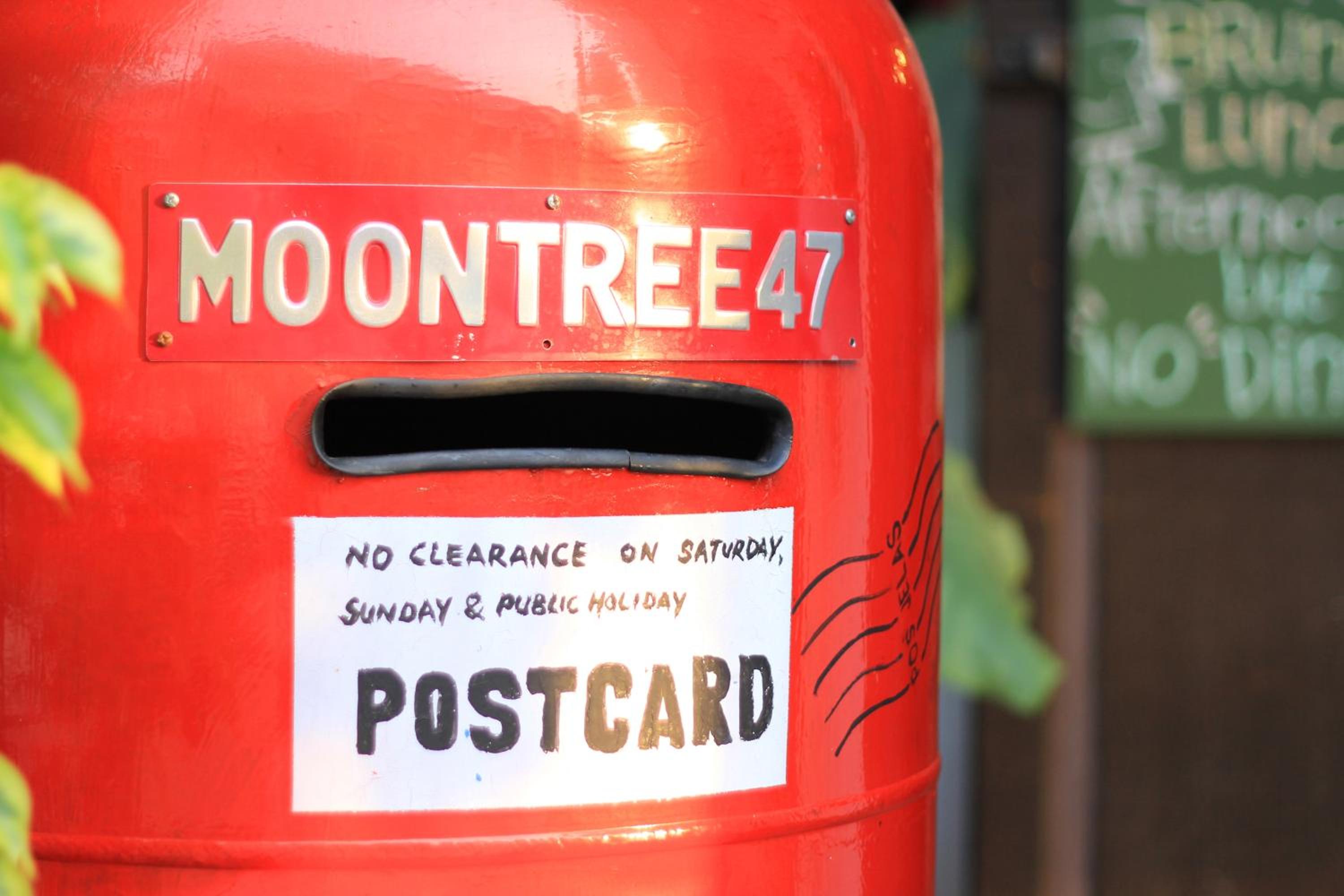 MoonTree47