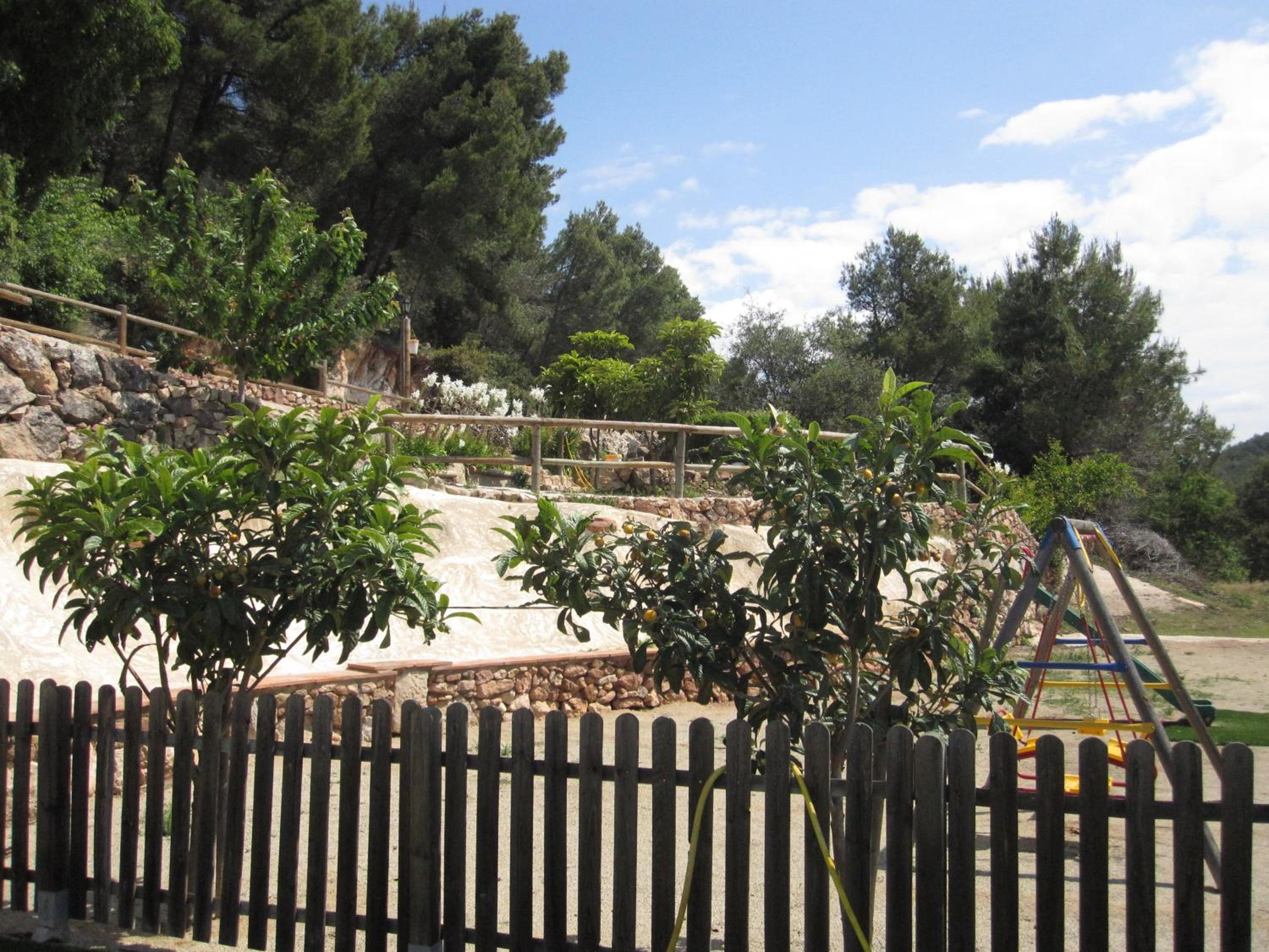 Photo 43