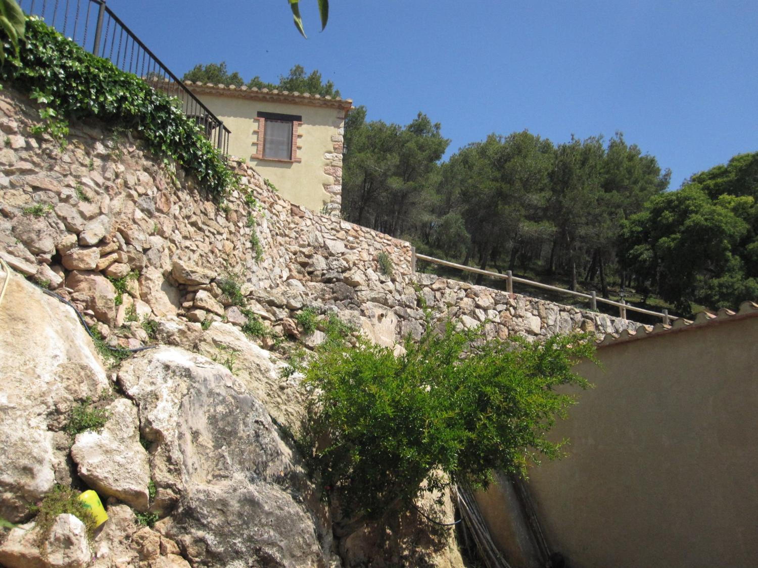Photo 45
