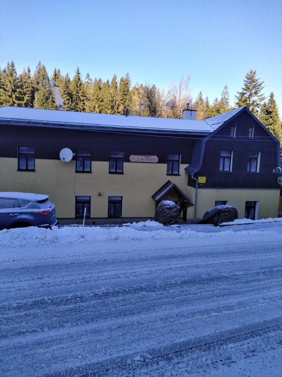 Penzion Borovice