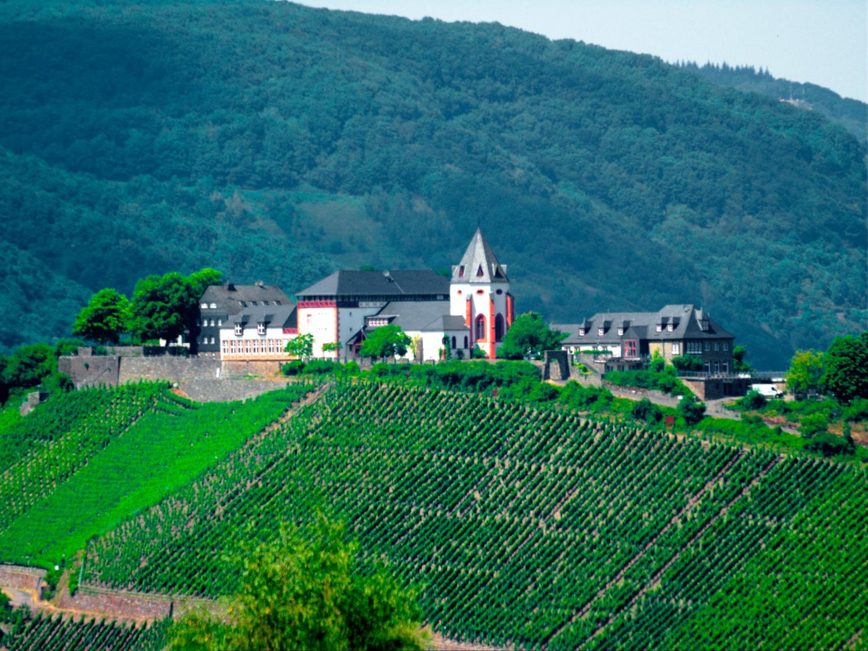 B&B Briedel