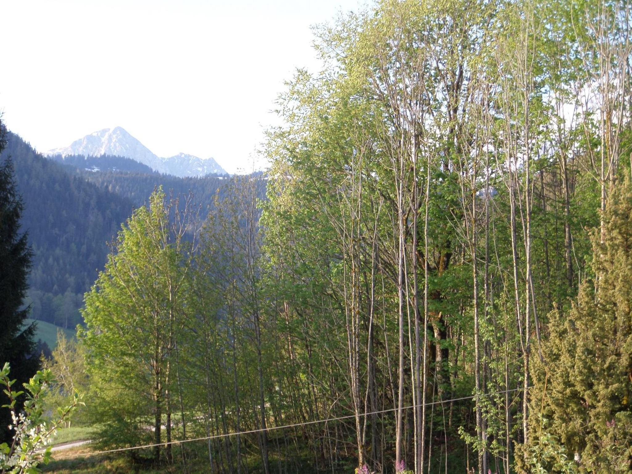 Lehnhäusl Aschauer view 3