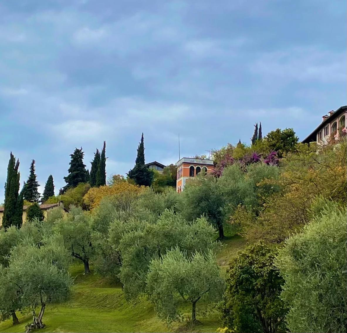 CHALET VELA Natura e Relax