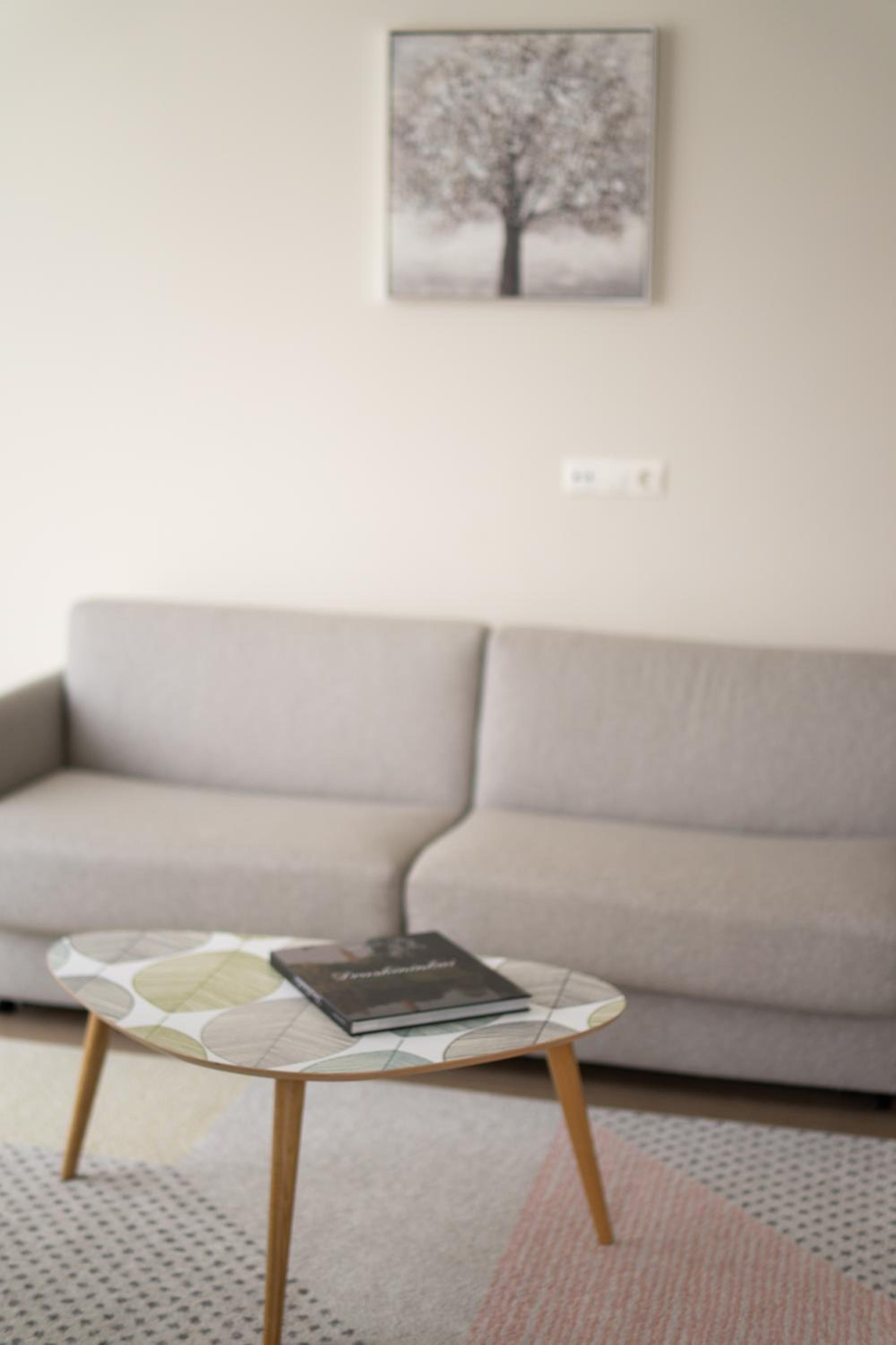 Apartment in Druskininkai City Centre
