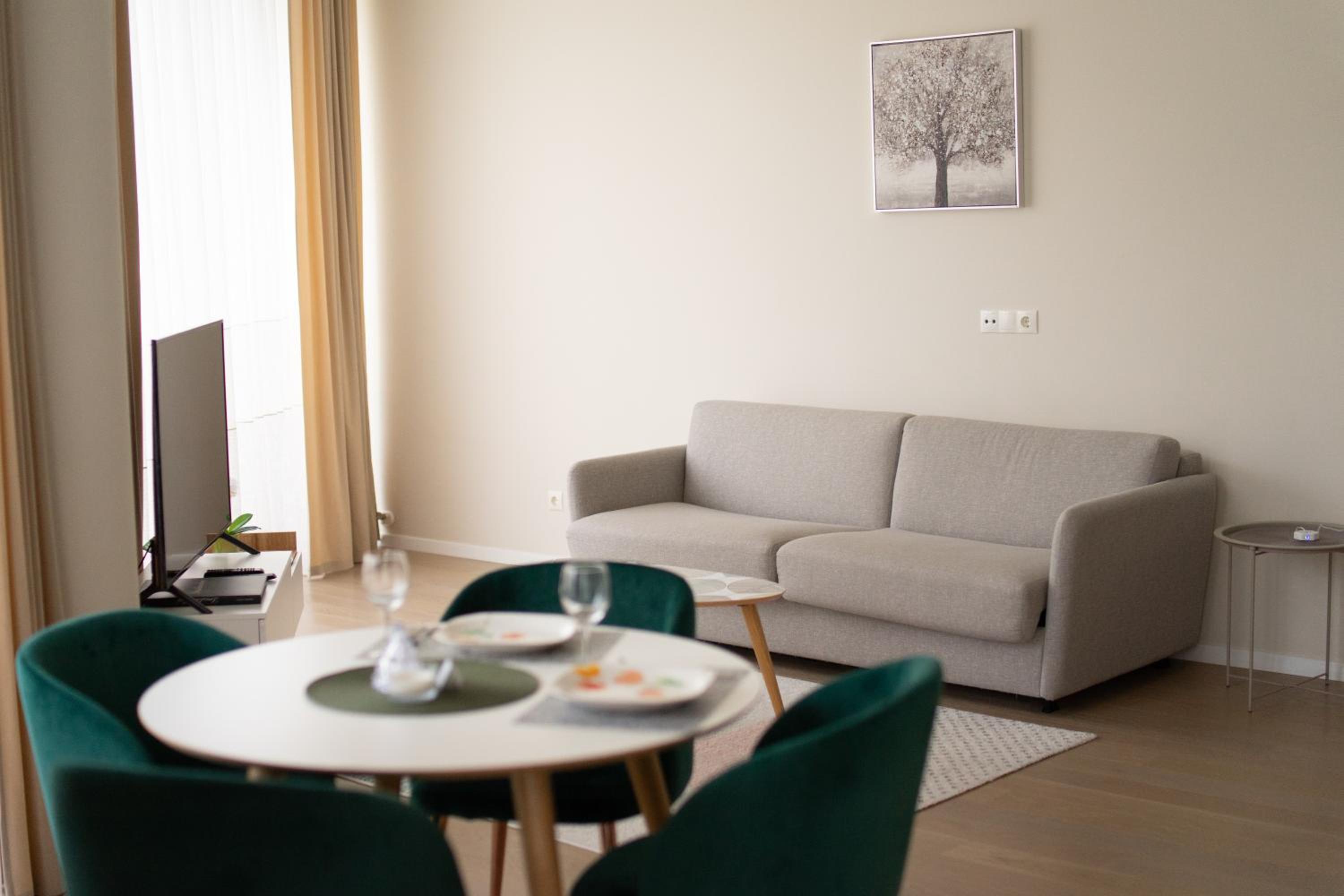 Apartment in Druskininkai City Centre