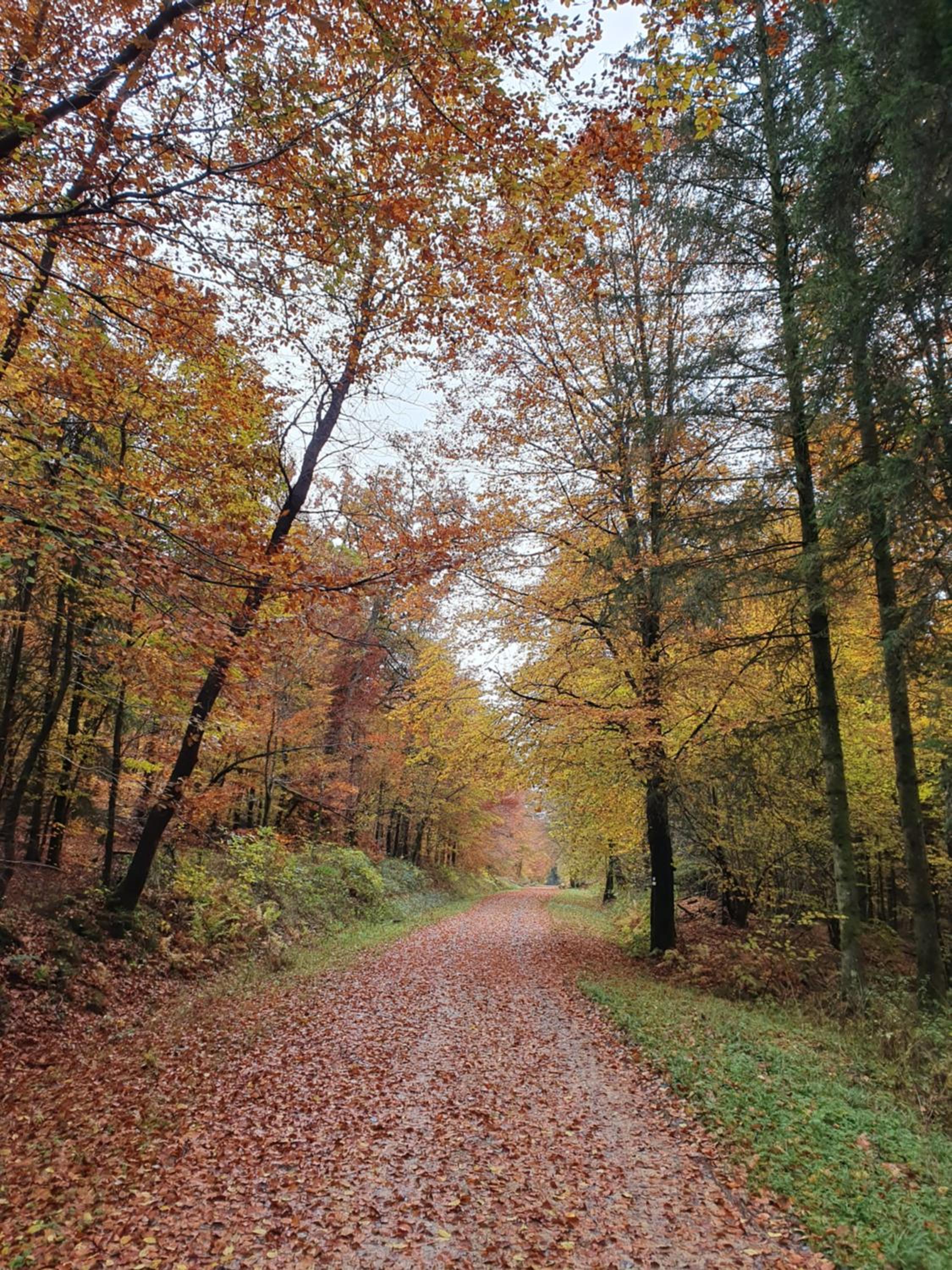 Sur la Rive Vierre